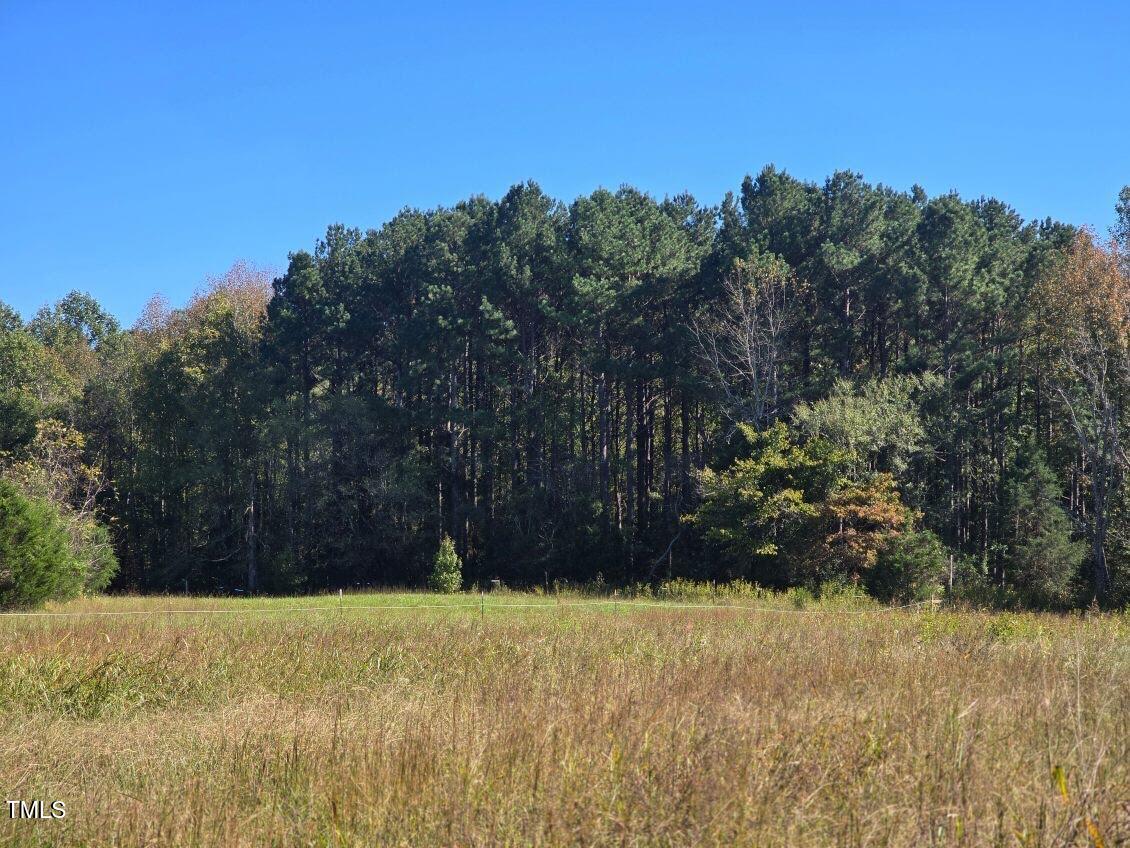 51.3ac Hwy 86 Property Photo 1