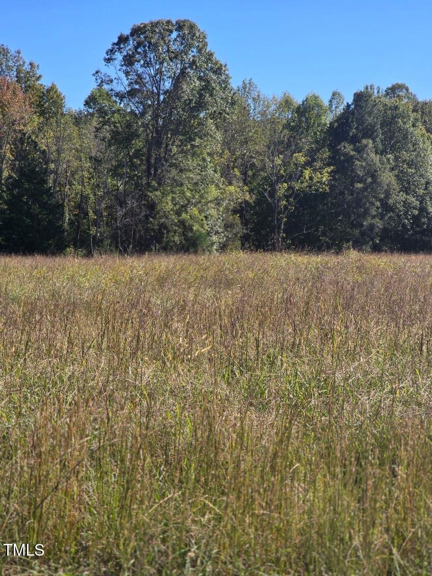 51.3ac Hwy 86 Property Photo 3