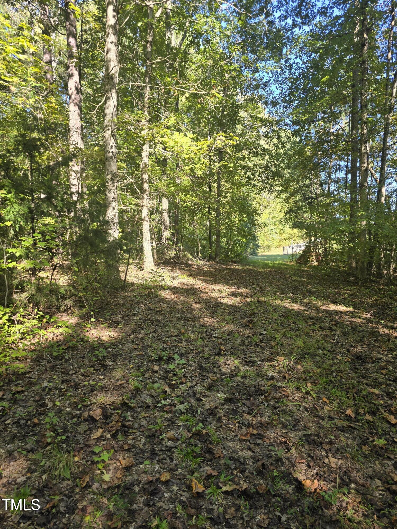 51.3ac Hwy 86 Property Photo 4