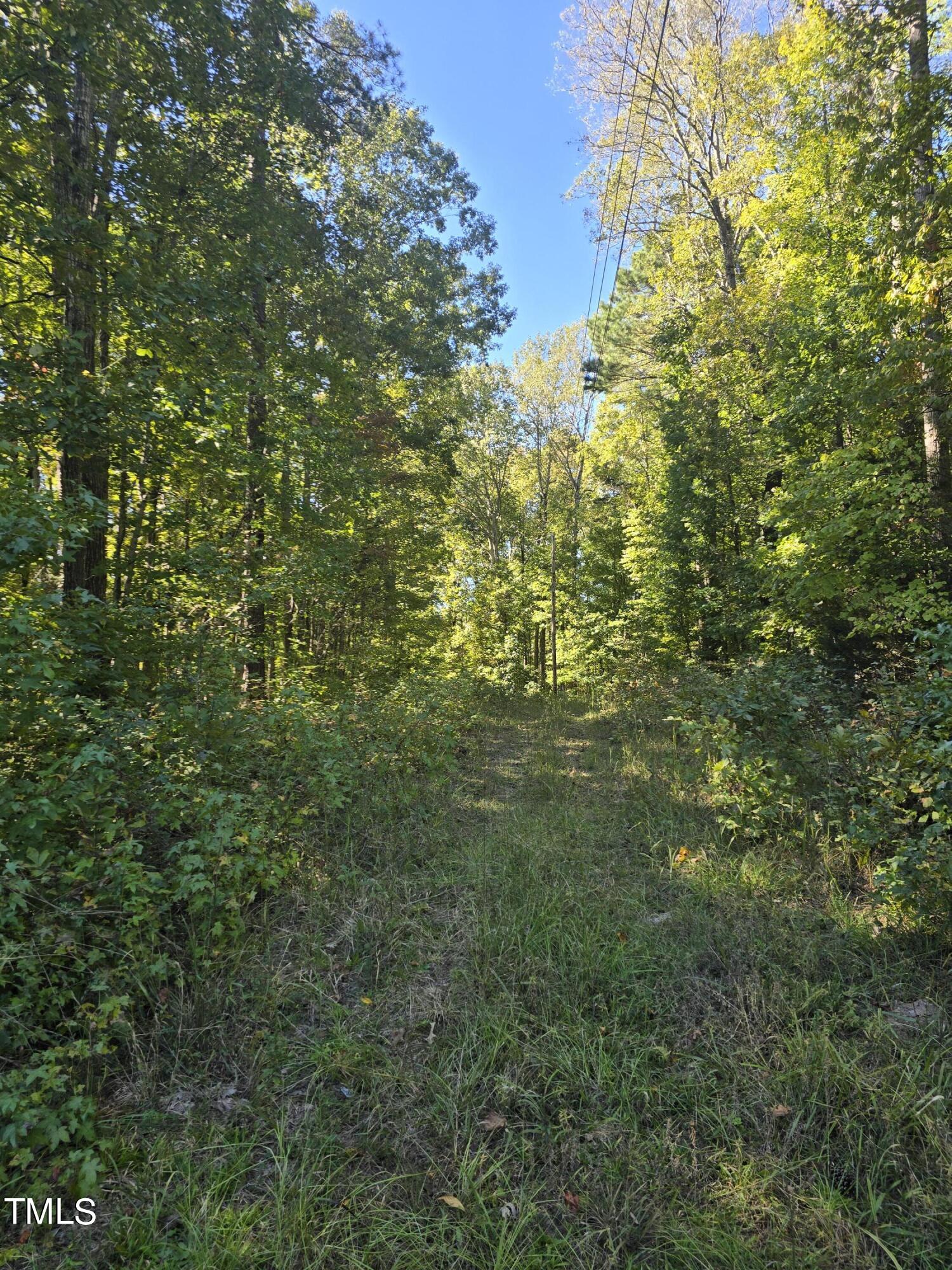 51.3ac Hwy 86 Property Photo 8