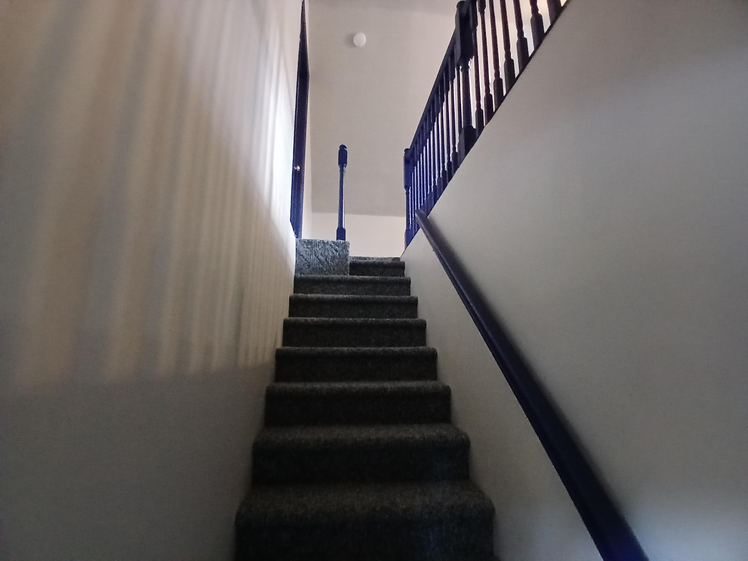 3909 Durnford Drive Property Photo 25