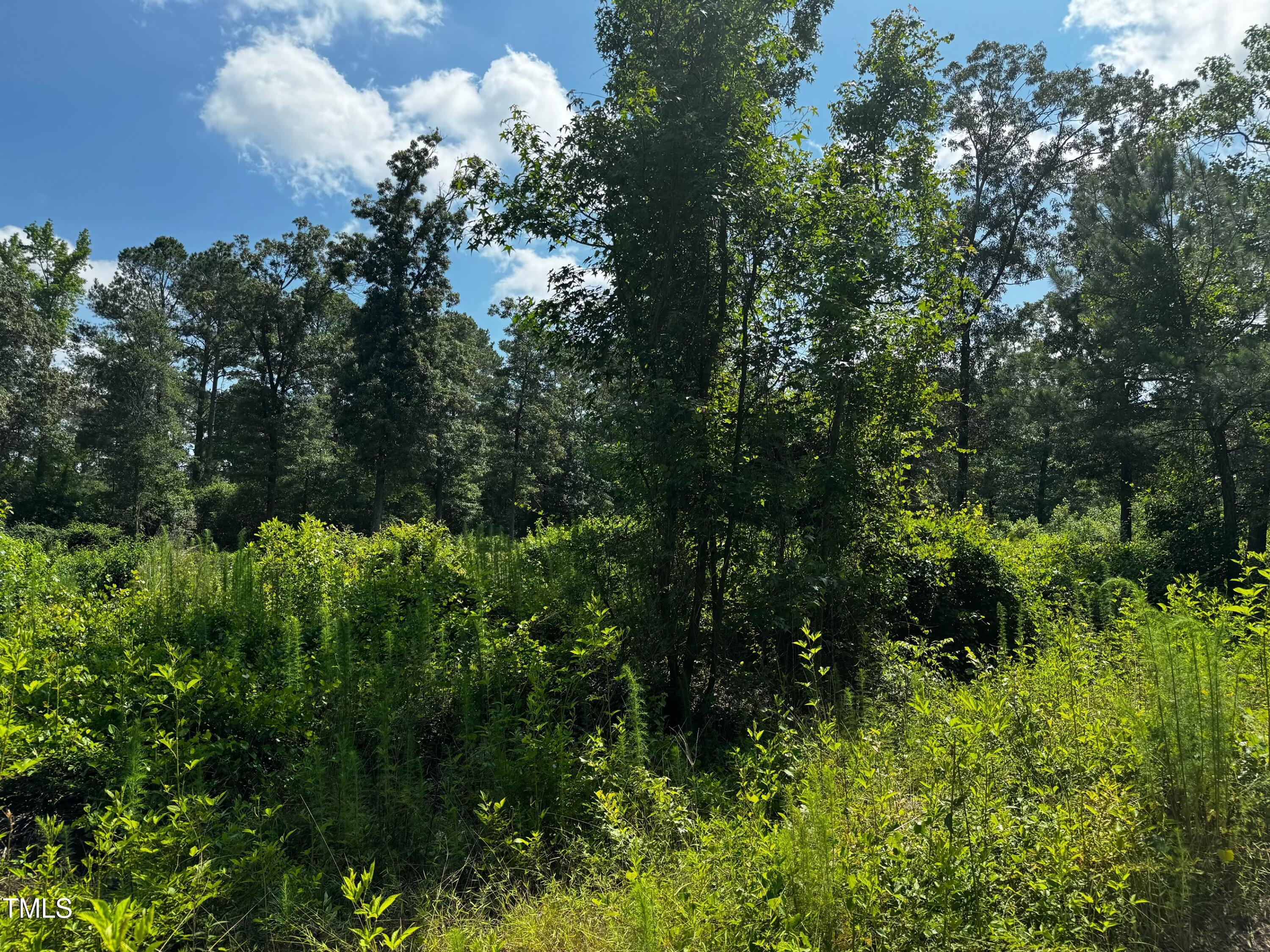 Lot 10 Wildlife Street Property Photo