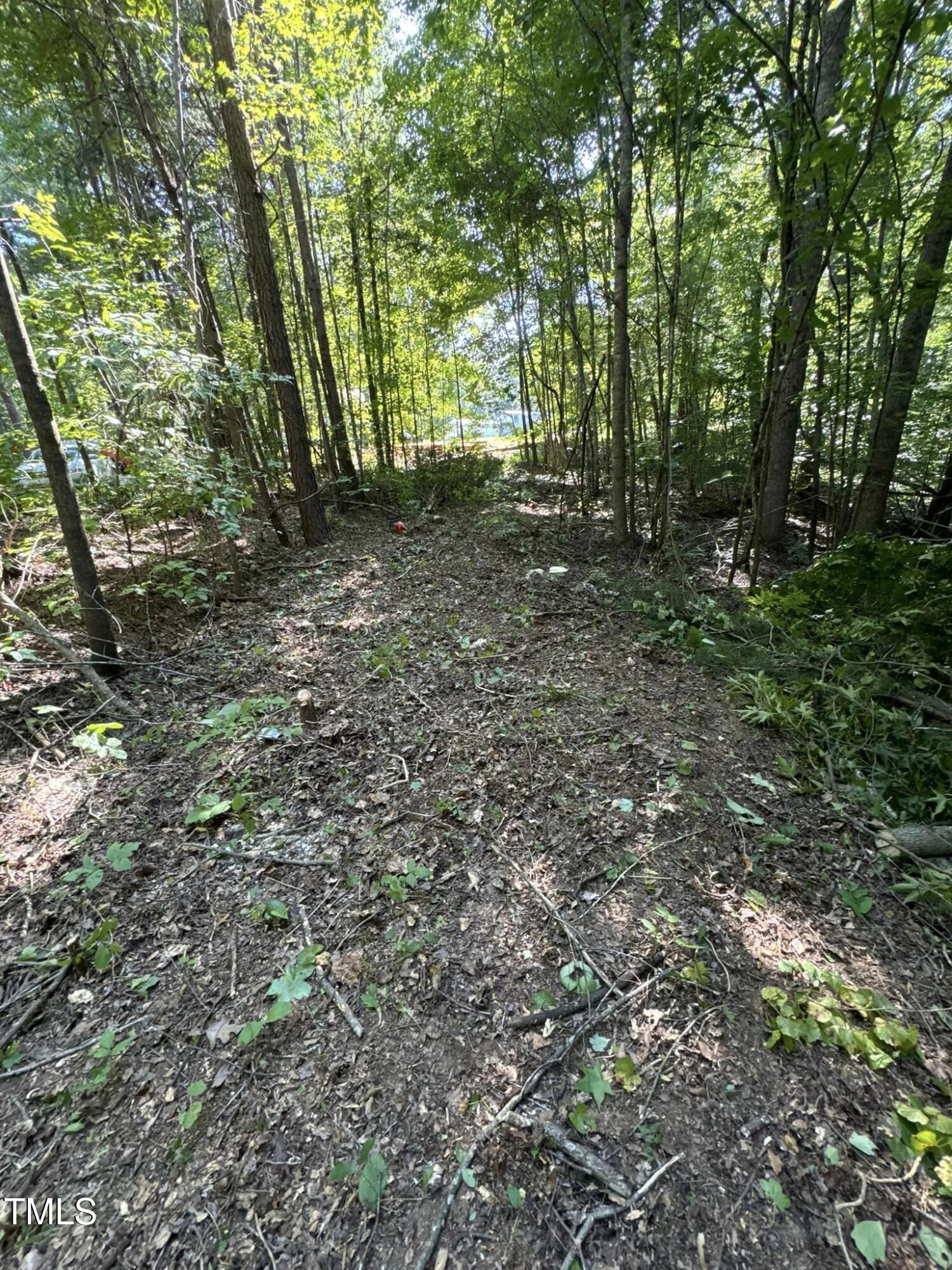 0 Orchard Lane Property Photo 2