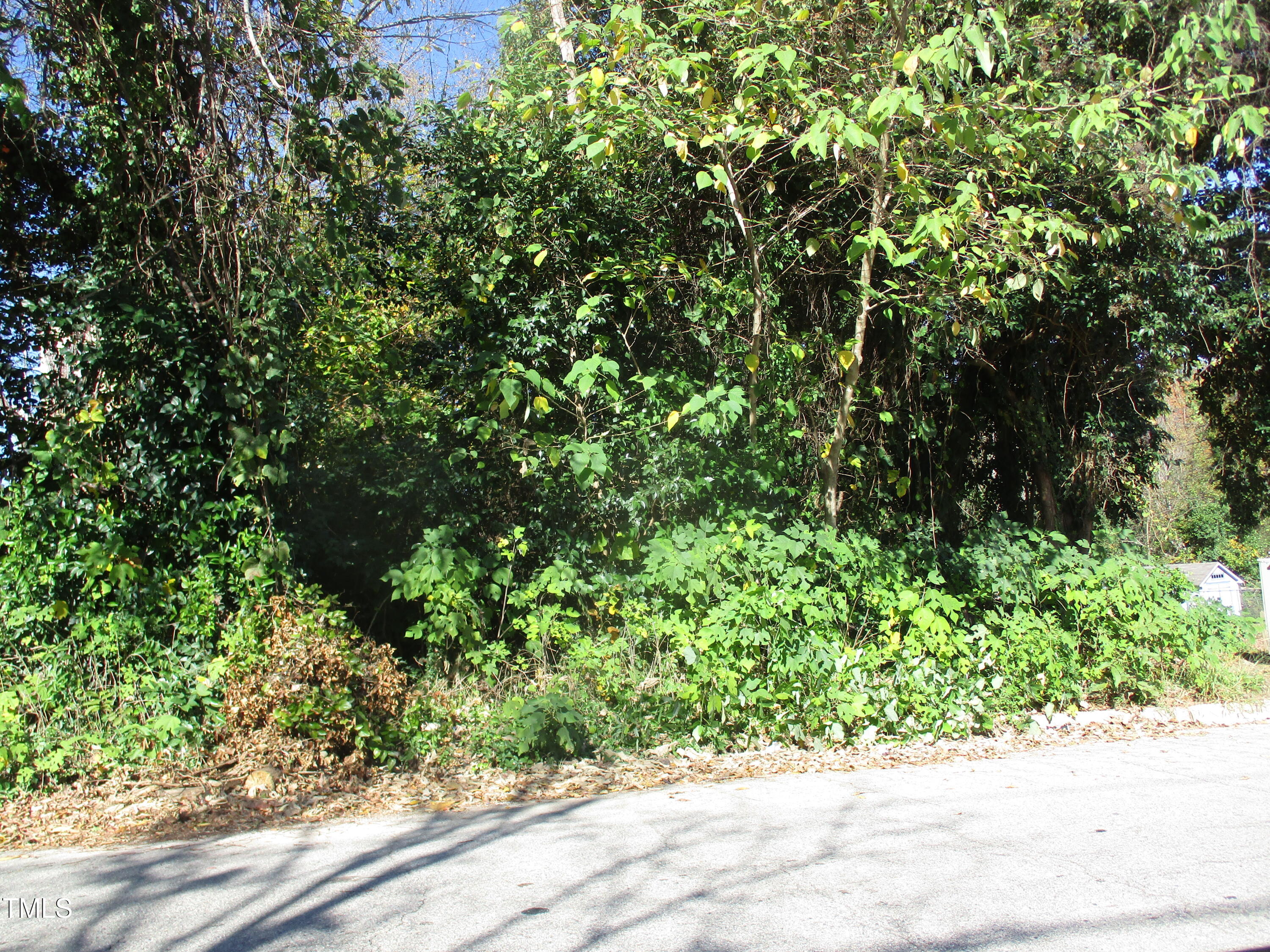 525 Bragg Street Property Photo 2