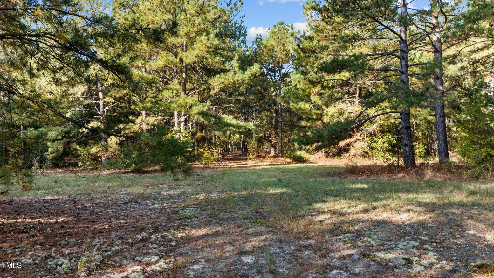 0 Campbell Drive Property Photo 1