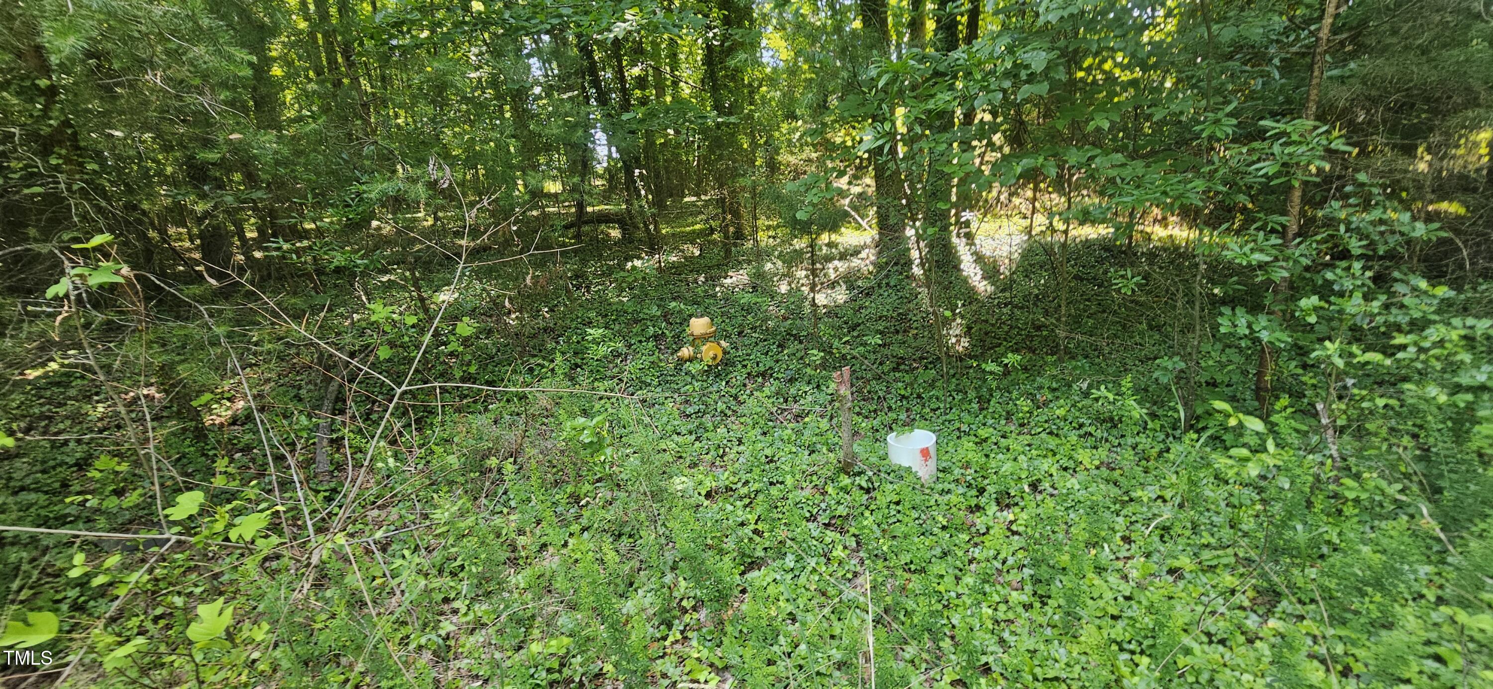 5802 Germanton Road Property Photo 11