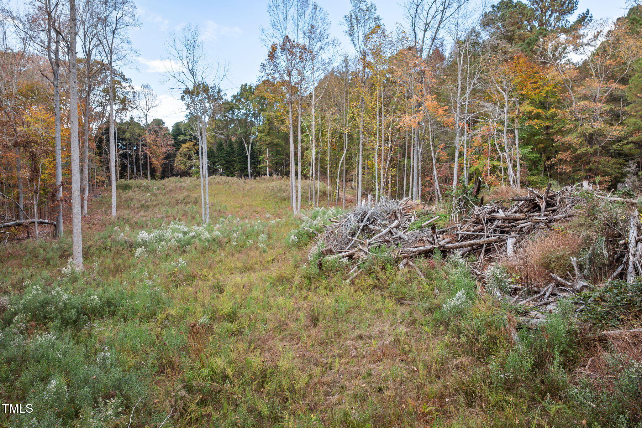 6917 Fiddleman Way Property Photo 9