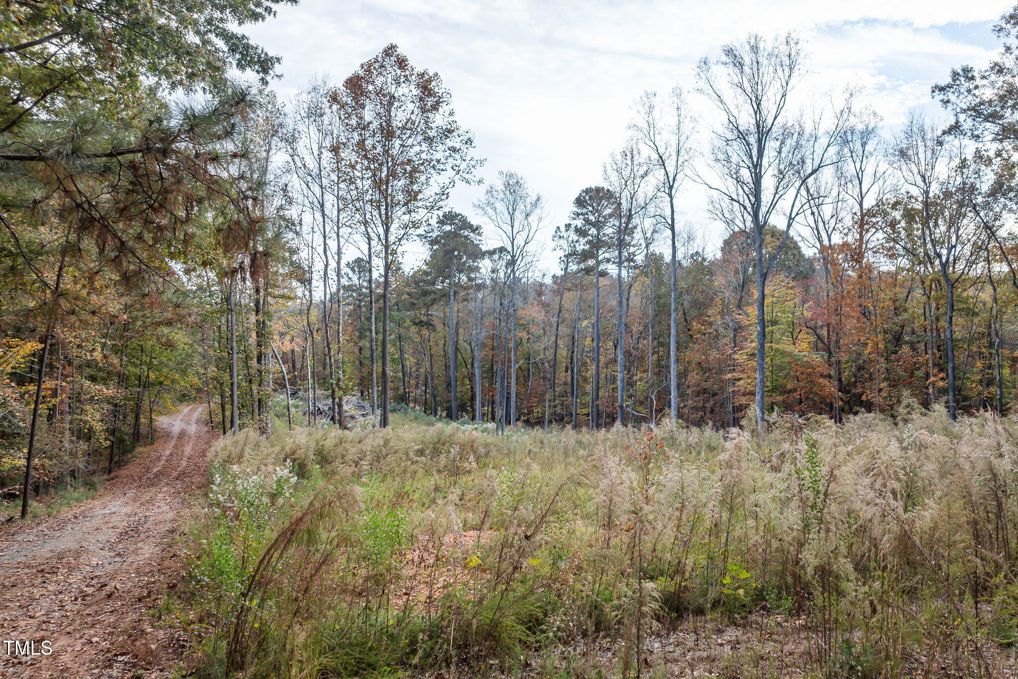 6917 Fiddleman Way Property Photo 11