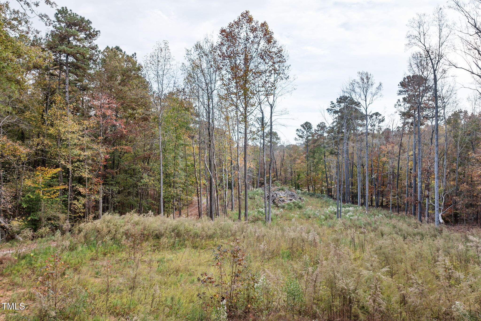 6917 Fiddleman Way Property Photo 12