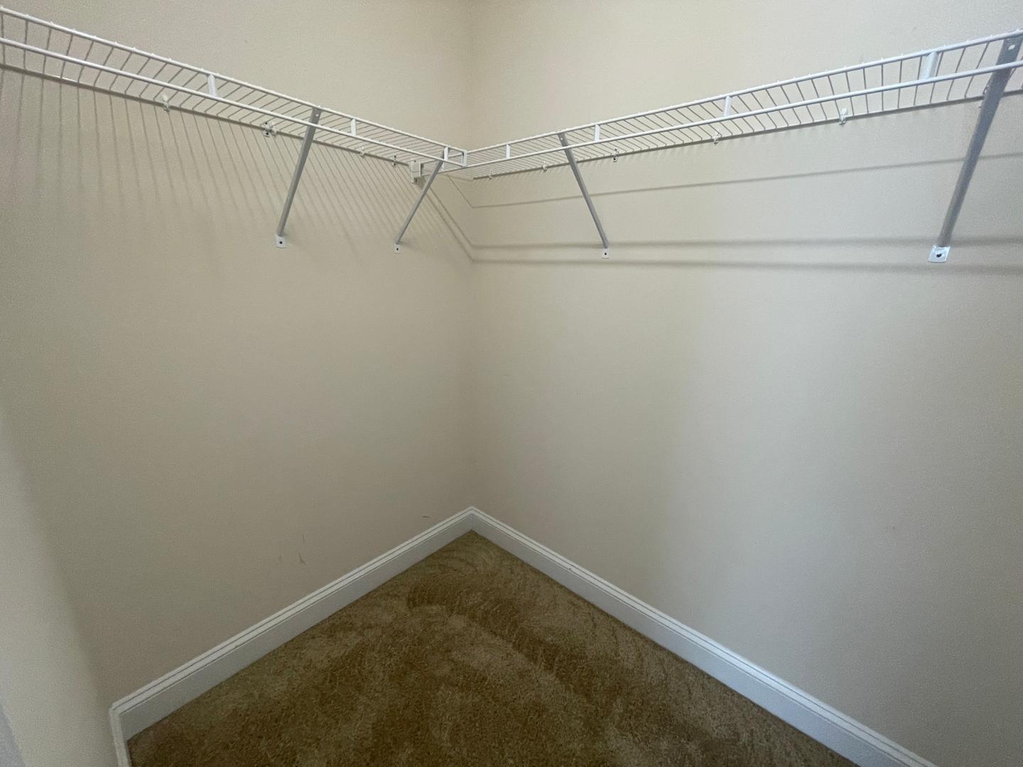 417 Village Commons Lane Property Photo 18