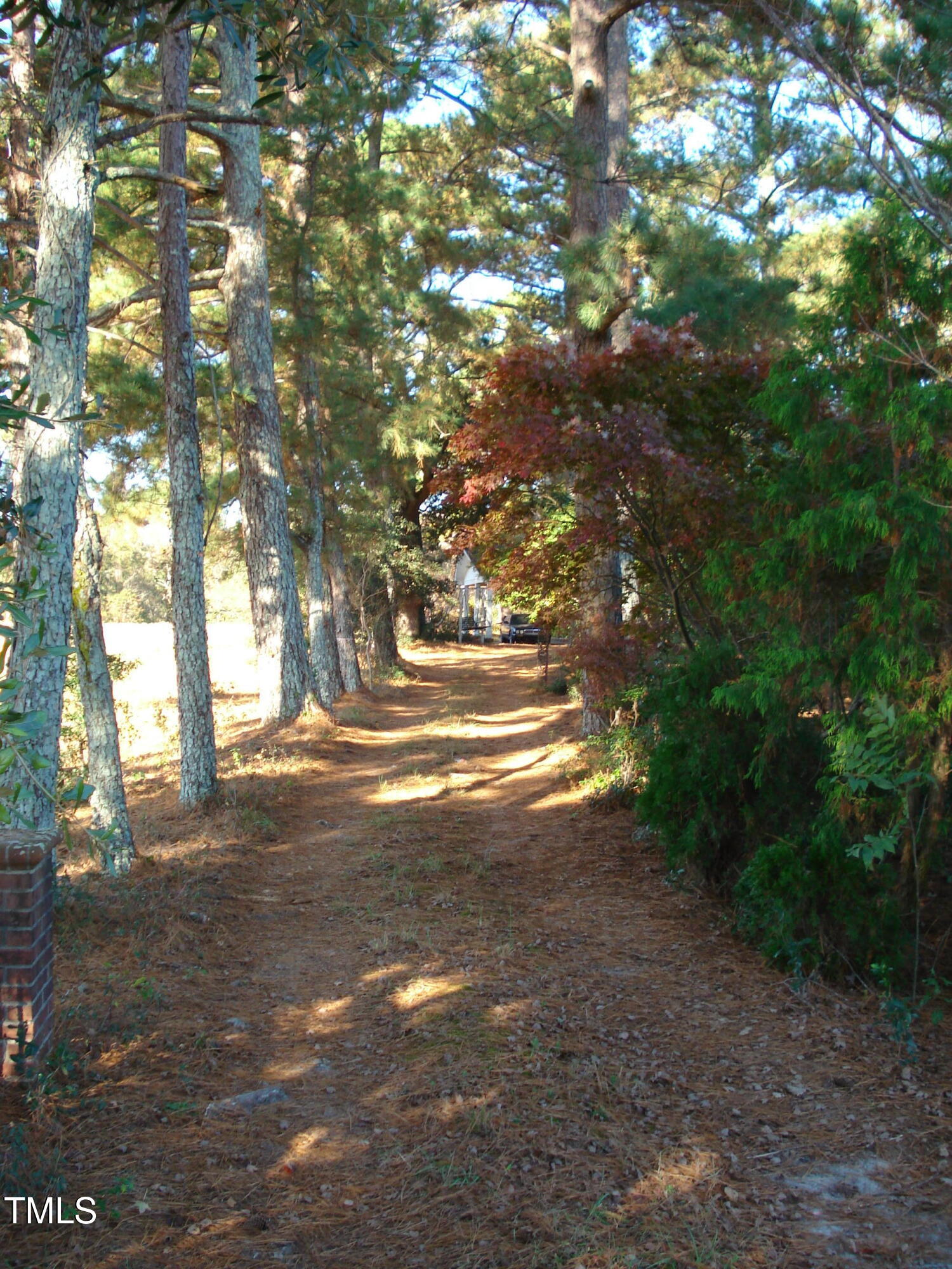 6349 Elevation Road Property Photo 8