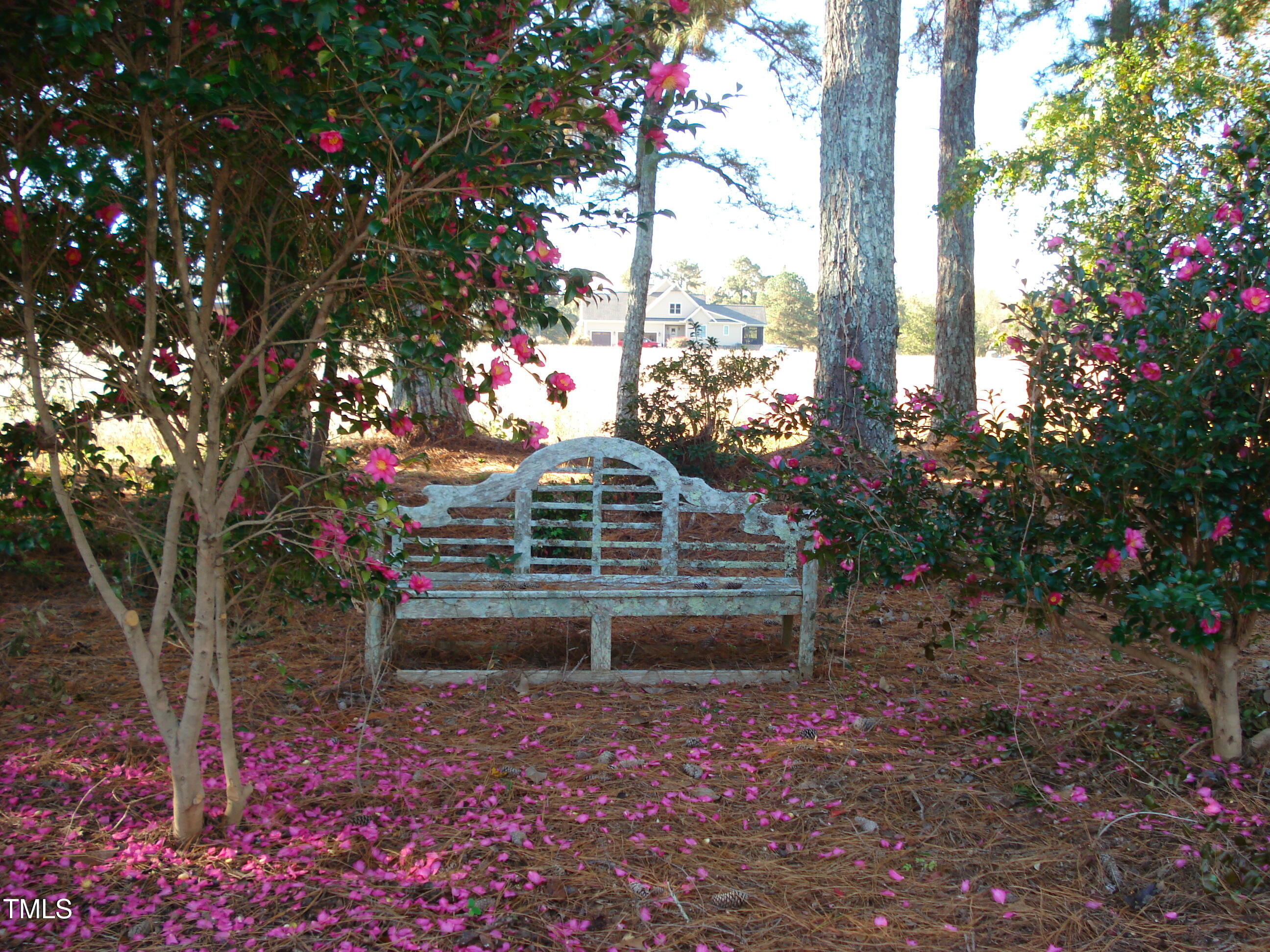 6349 Elevation Road Property Photo 9