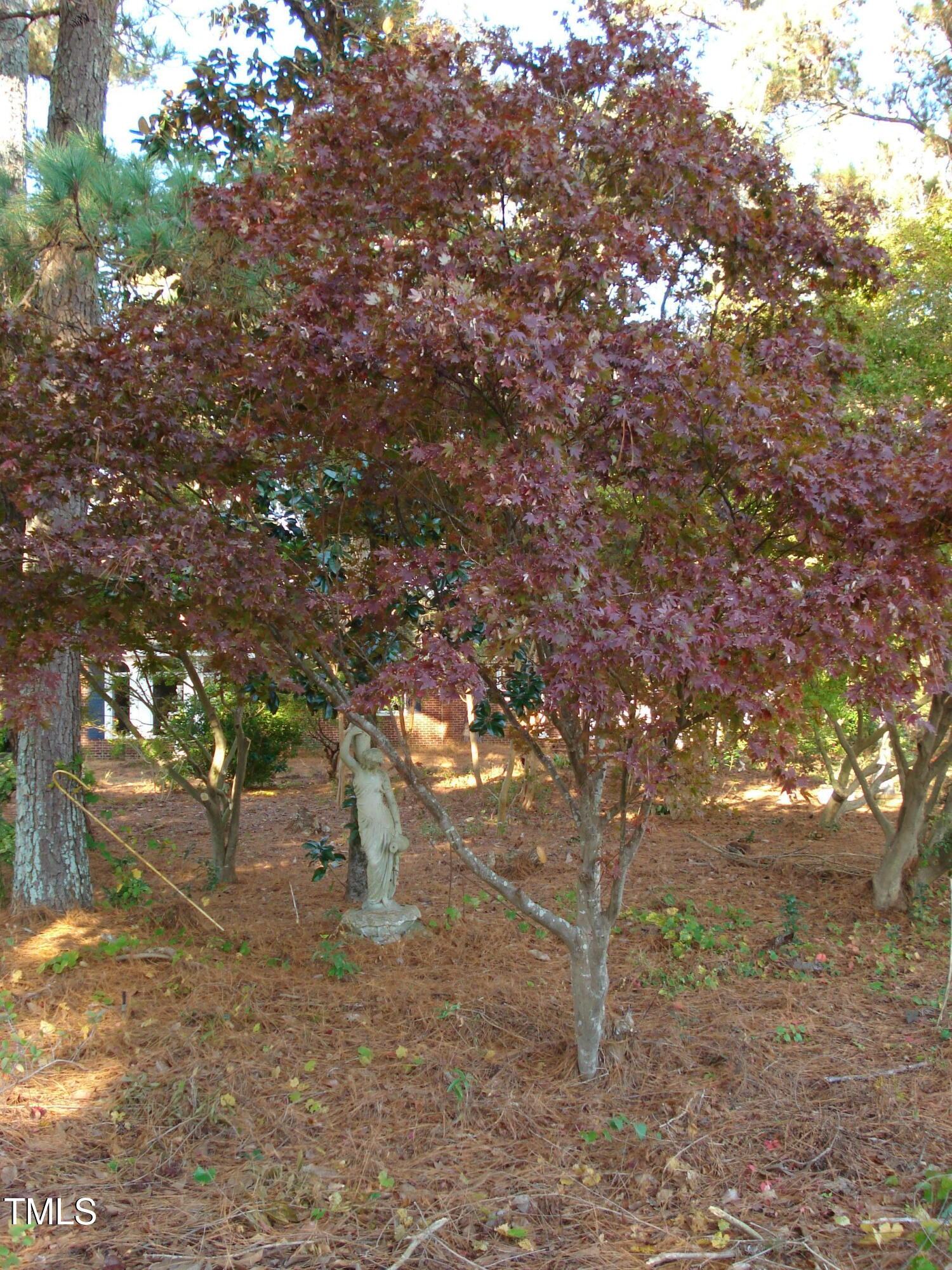 6349 Elevation Road Property Photo 10