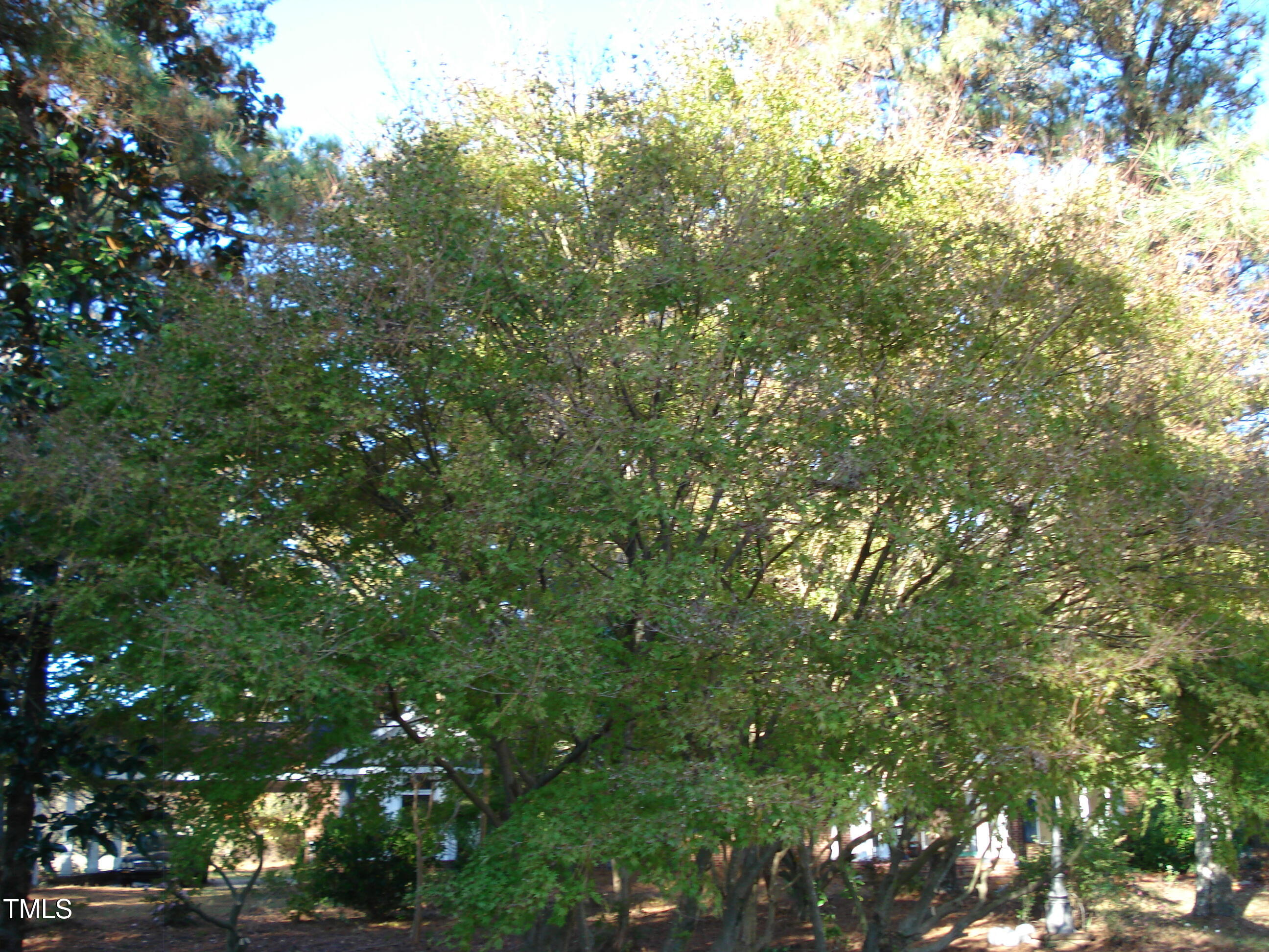 6349 Elevation Road Property Photo 11