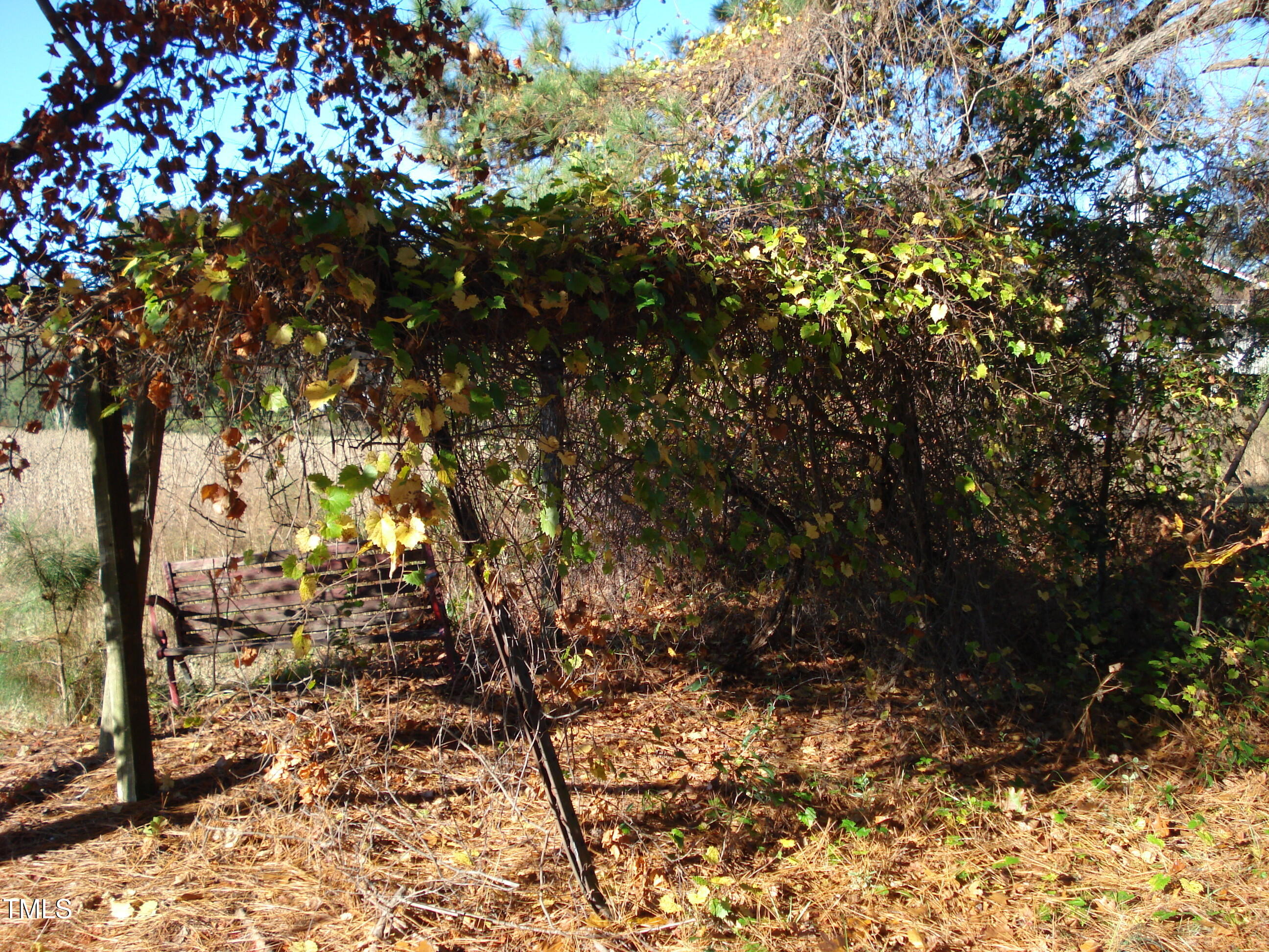 6349 Elevation Road Property Photo 13