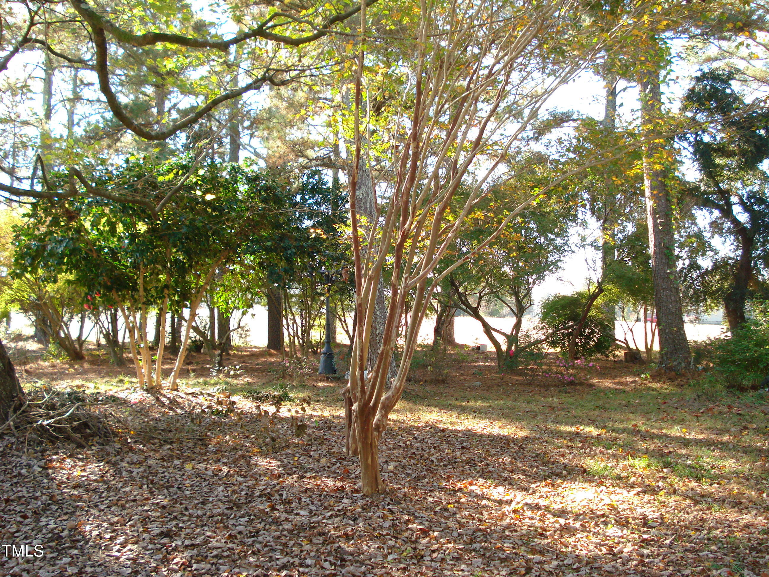 6349 Elevation Road Property Photo 49