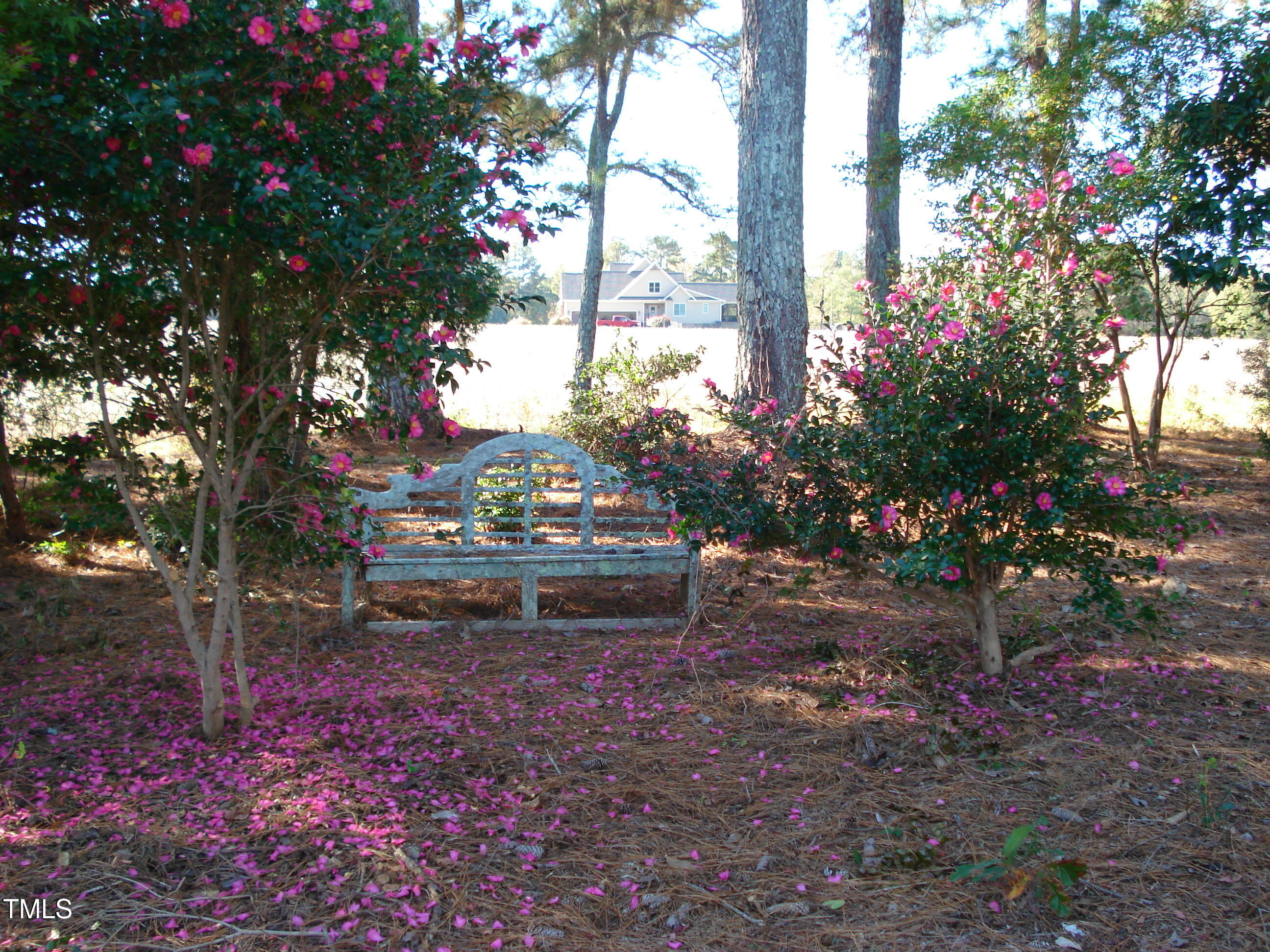 6349 Elevation Road Property Photo 51