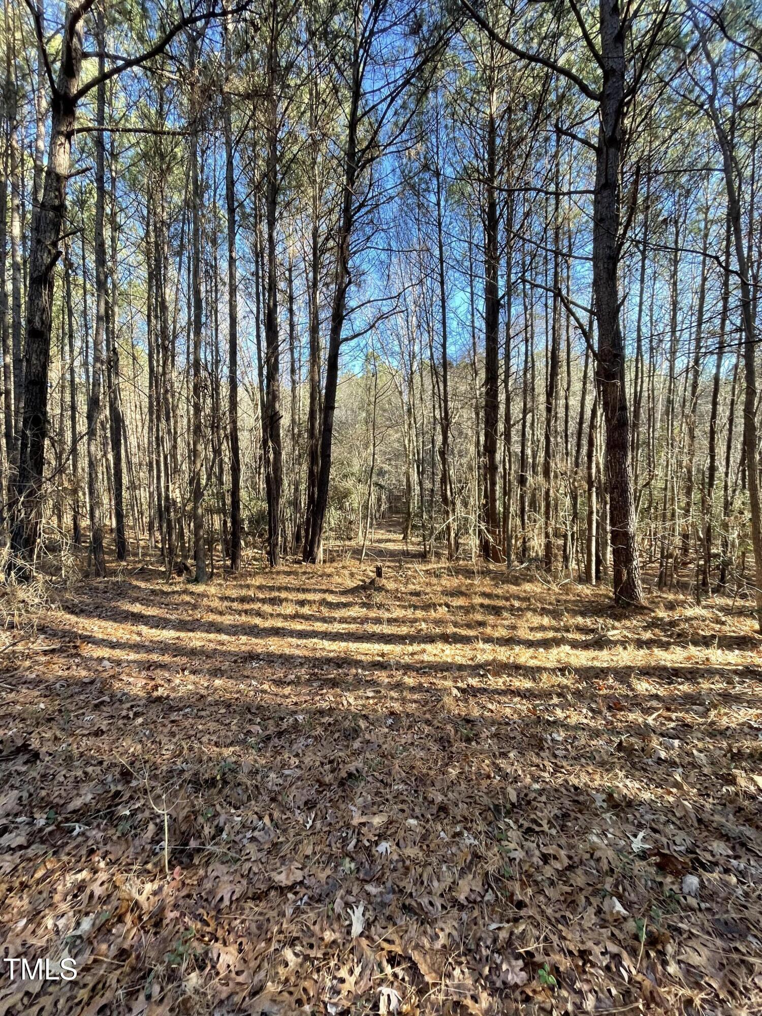 0 Haley Meadows Drive Property Photo 2