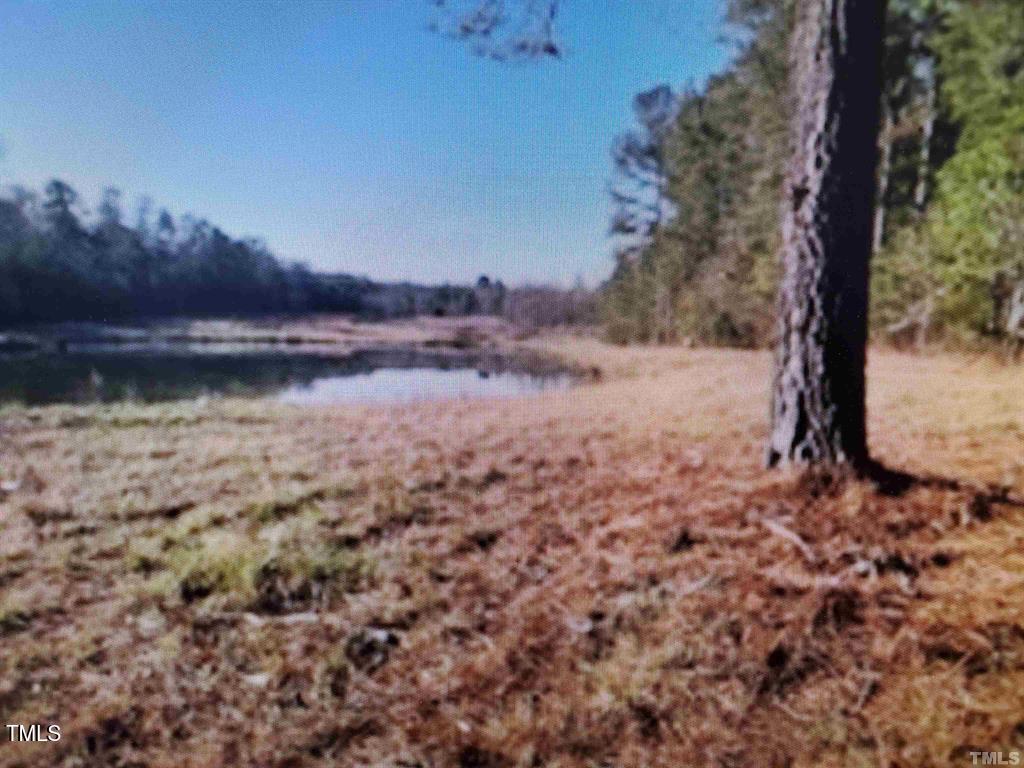 Tbd Snow Camp Road Property Photo