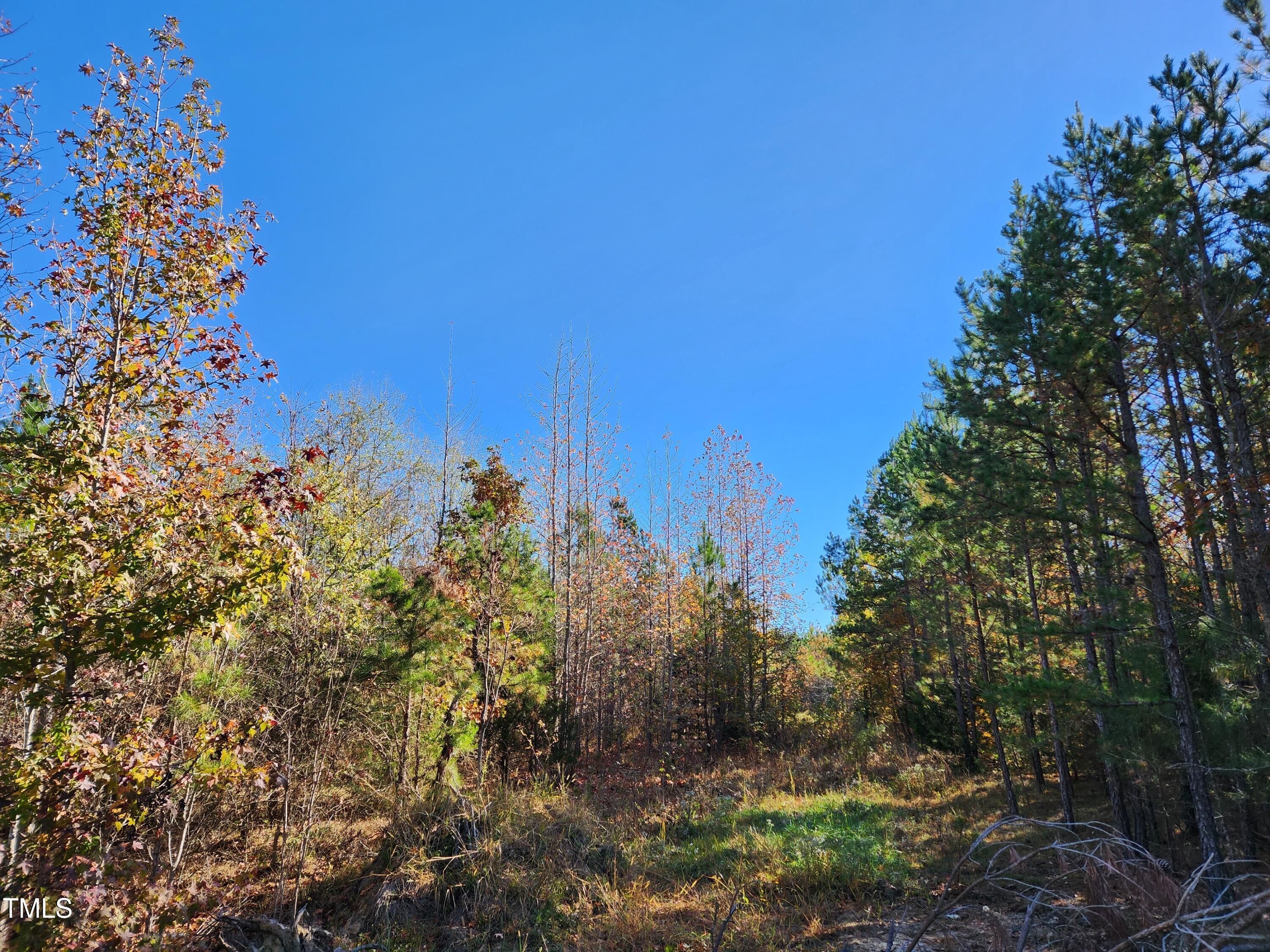 Tbd Snow Camp Road Property Photo 1