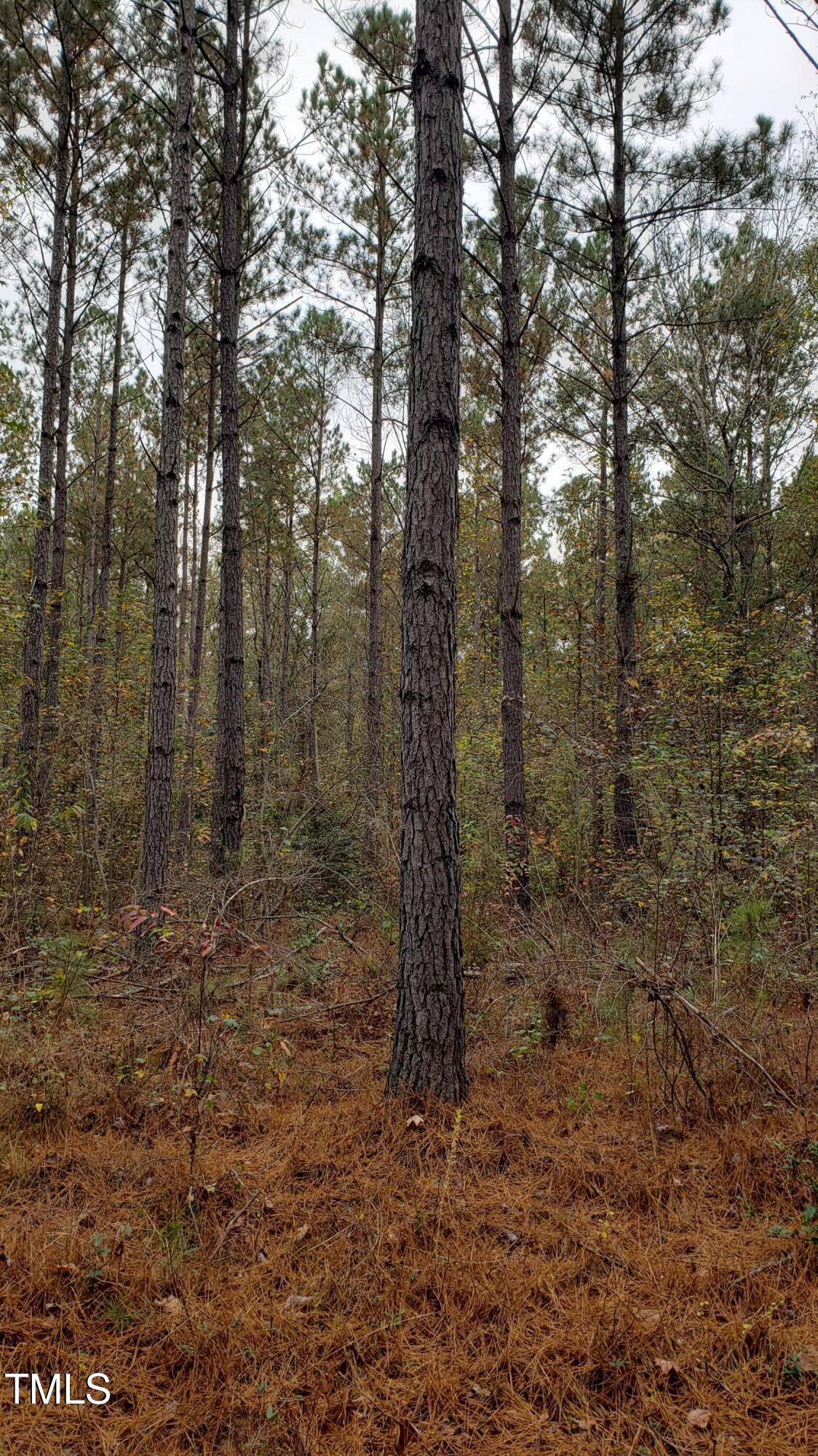 2769 Nc-211 Property Photo 3