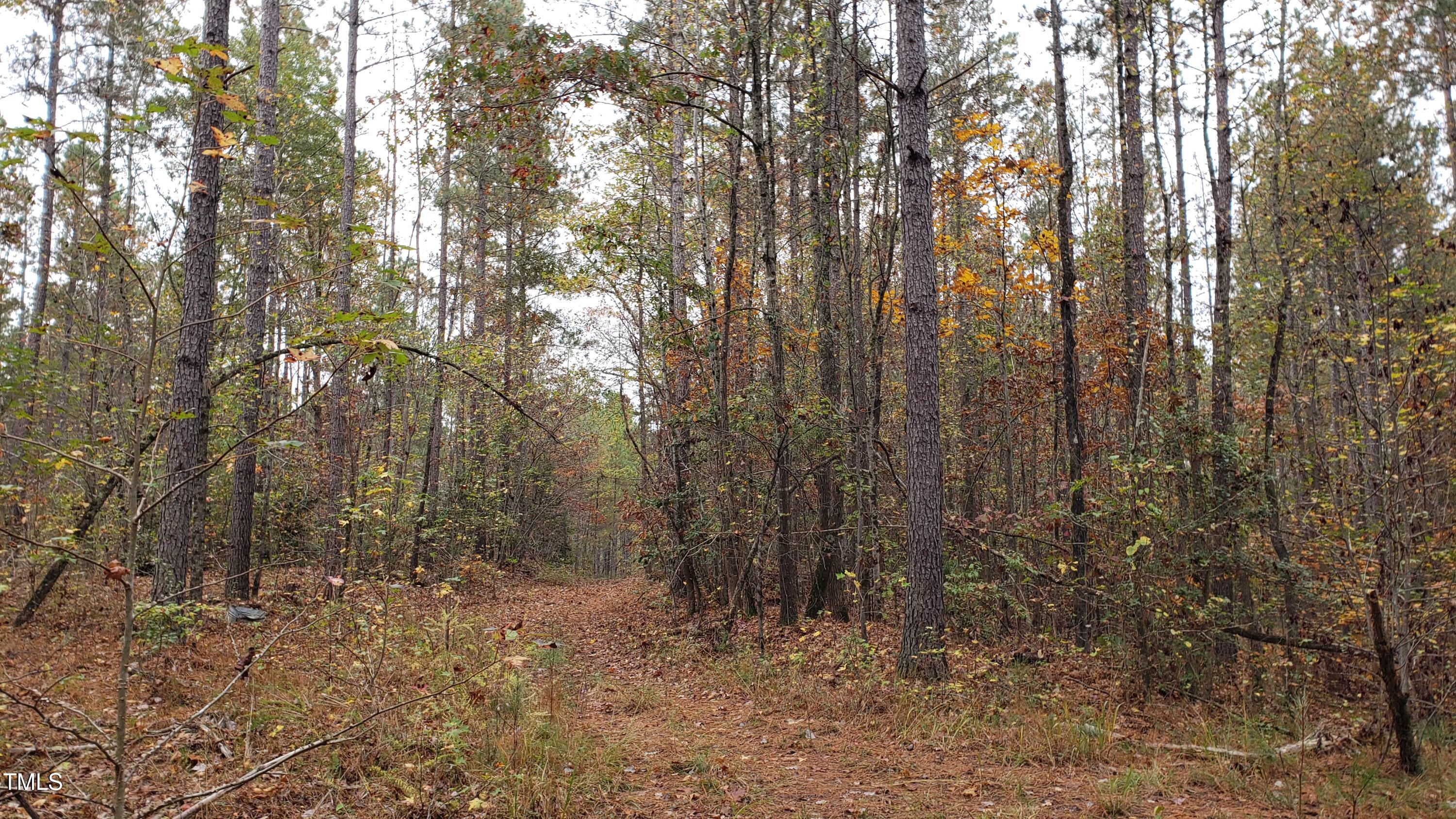 2769 Nc-211 Property Photo 5