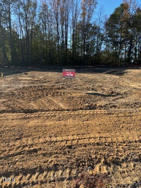 160 Blue Butterfly Drive Property Photo 2