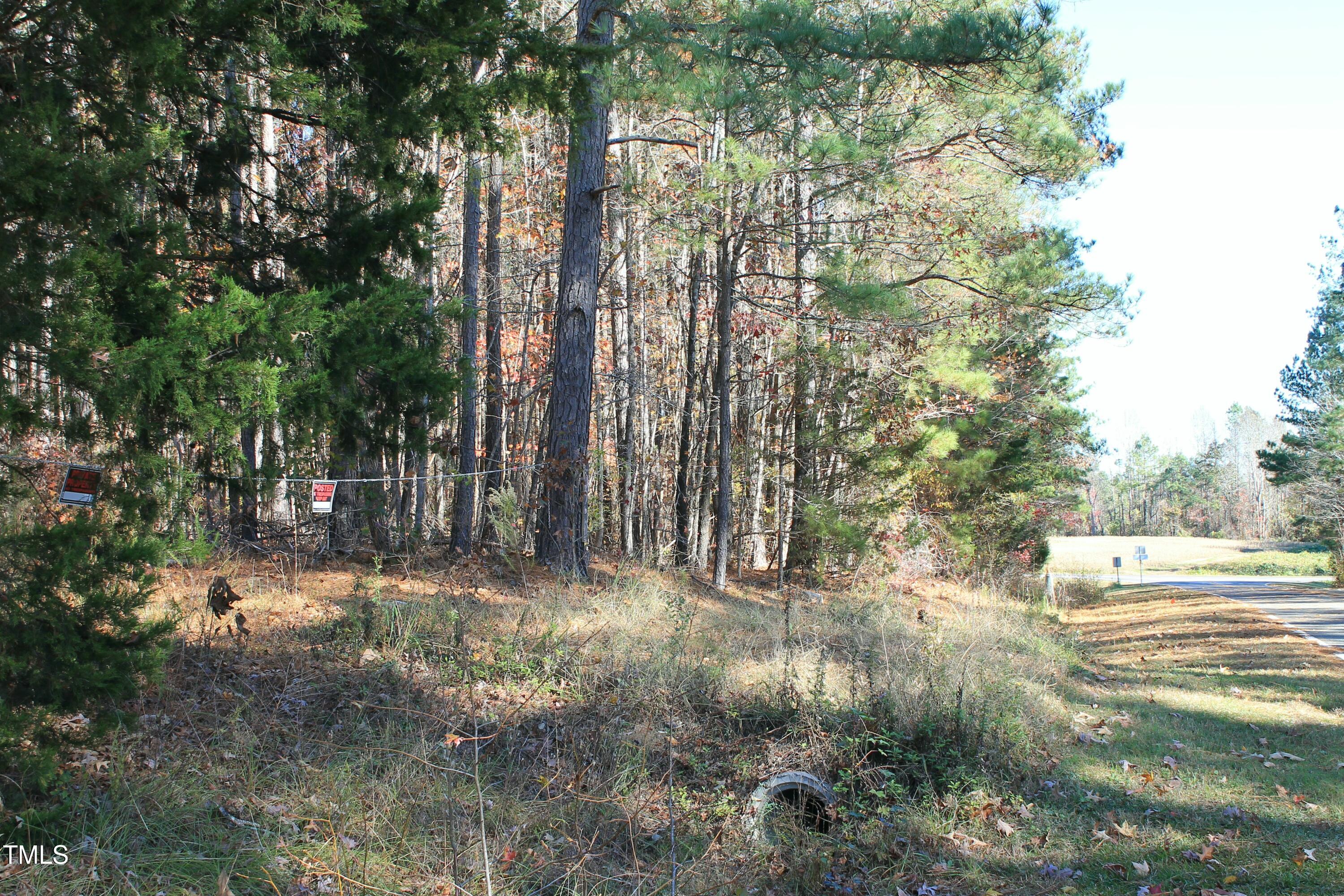 525 Montgomery Road Property Photo 4