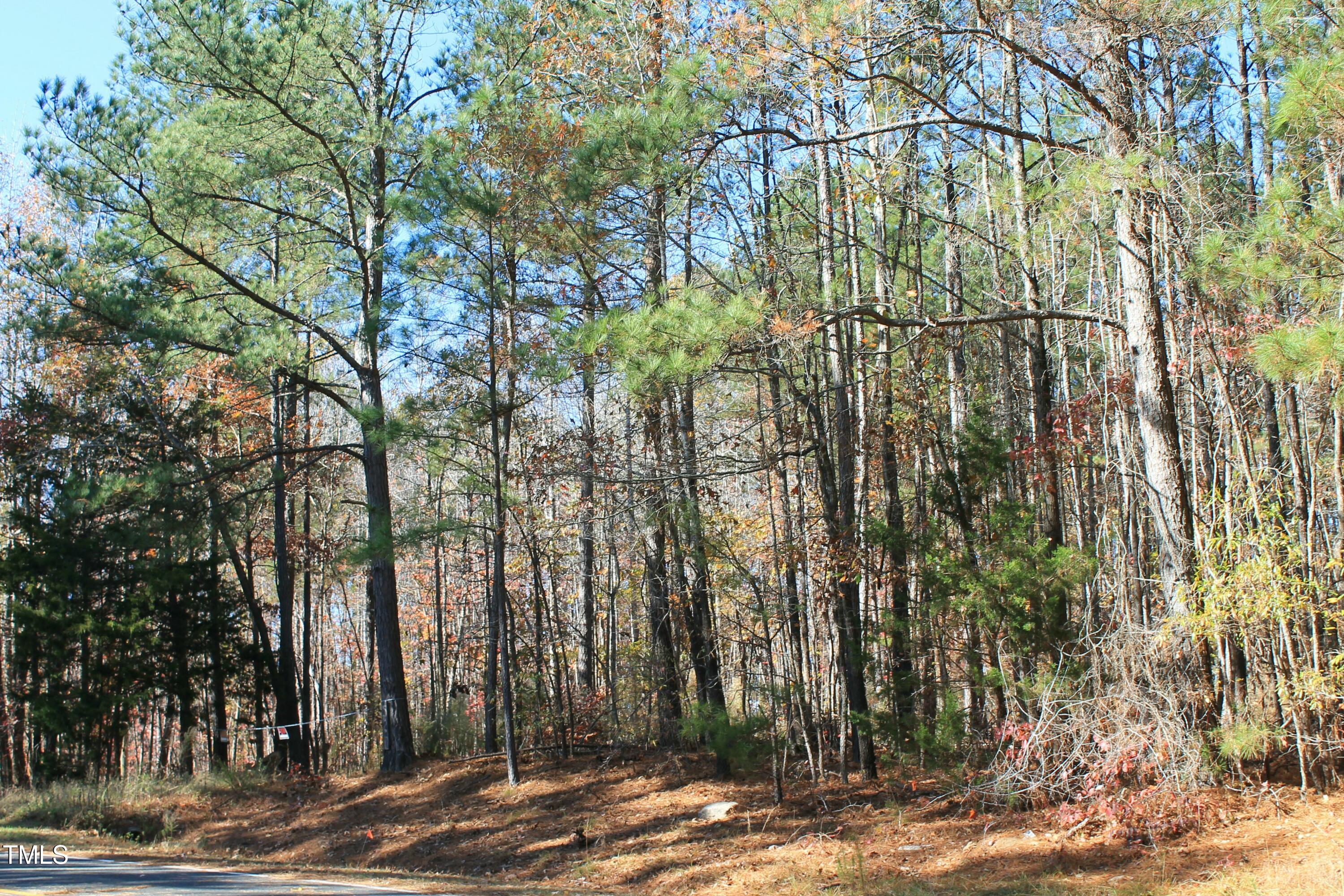 525 Montgomery Road Property Photo 6