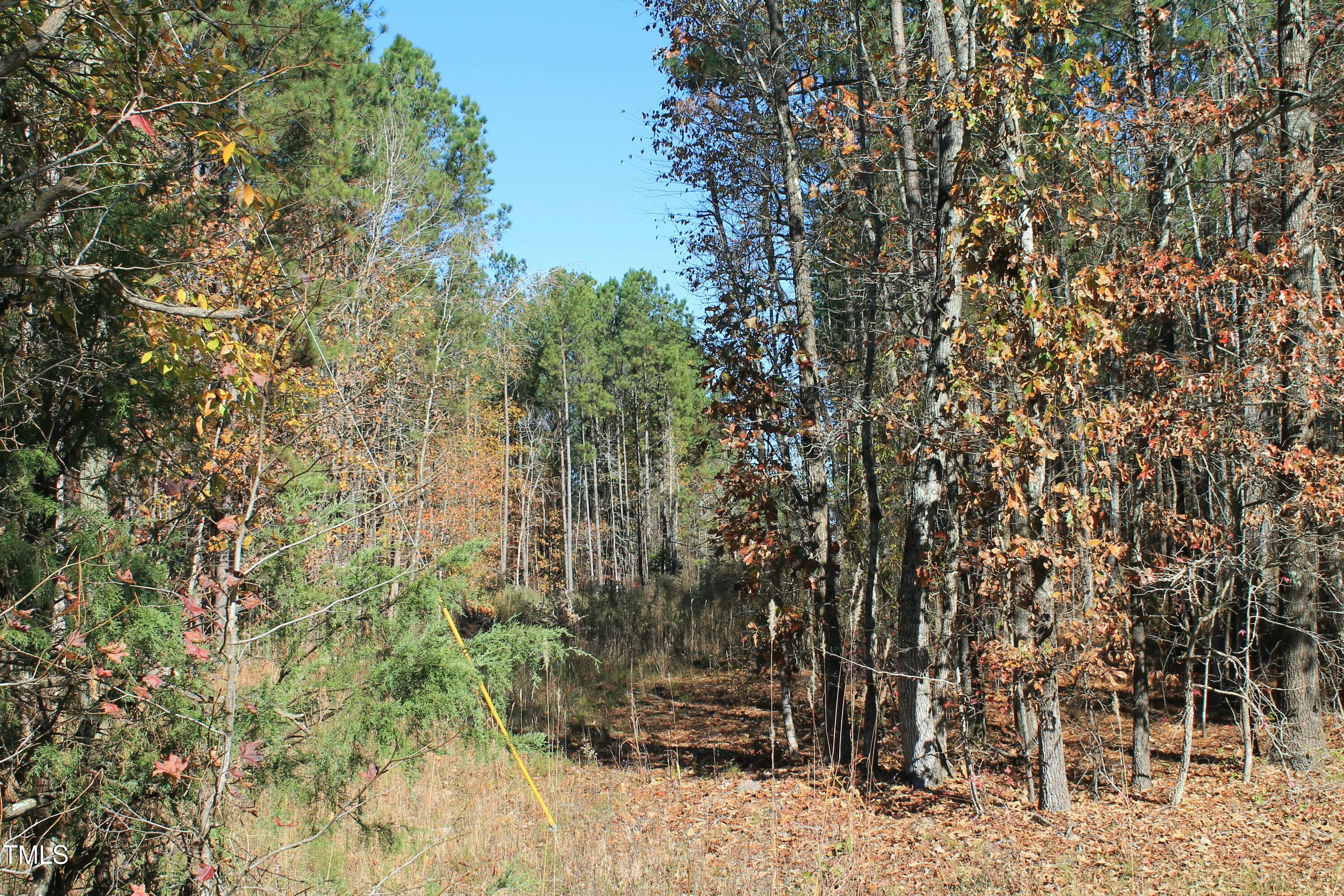 525 Montgomery Road Property Photo 7