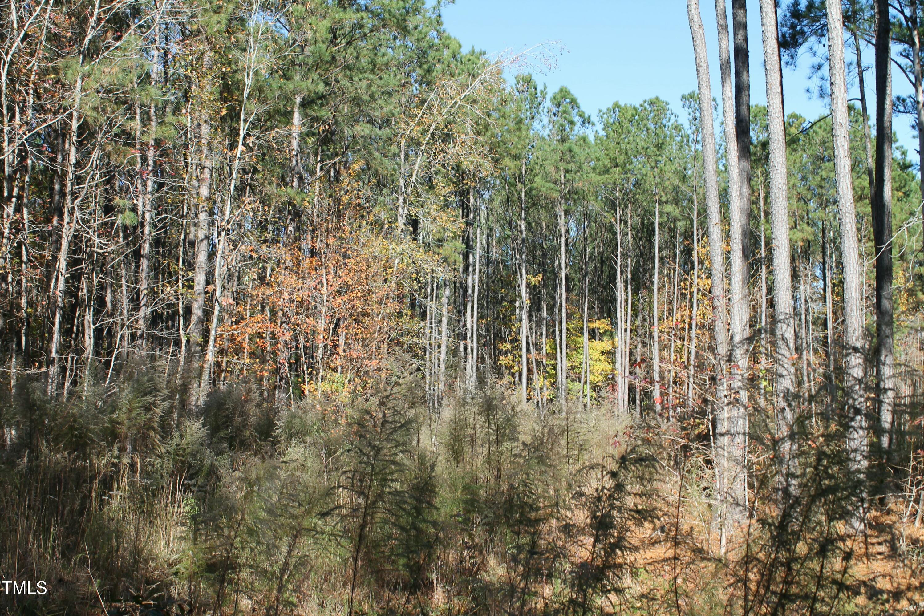 525 Montgomery Road Property Photo 8