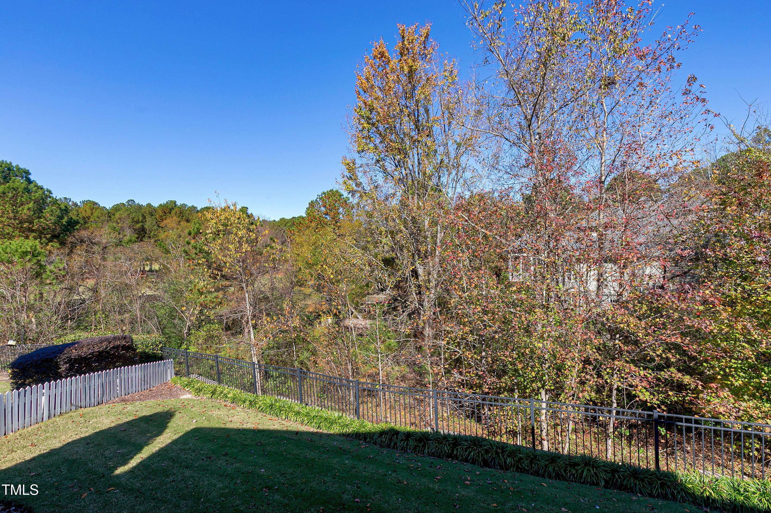 1509 Heritage Reserve Court Property Photo 55