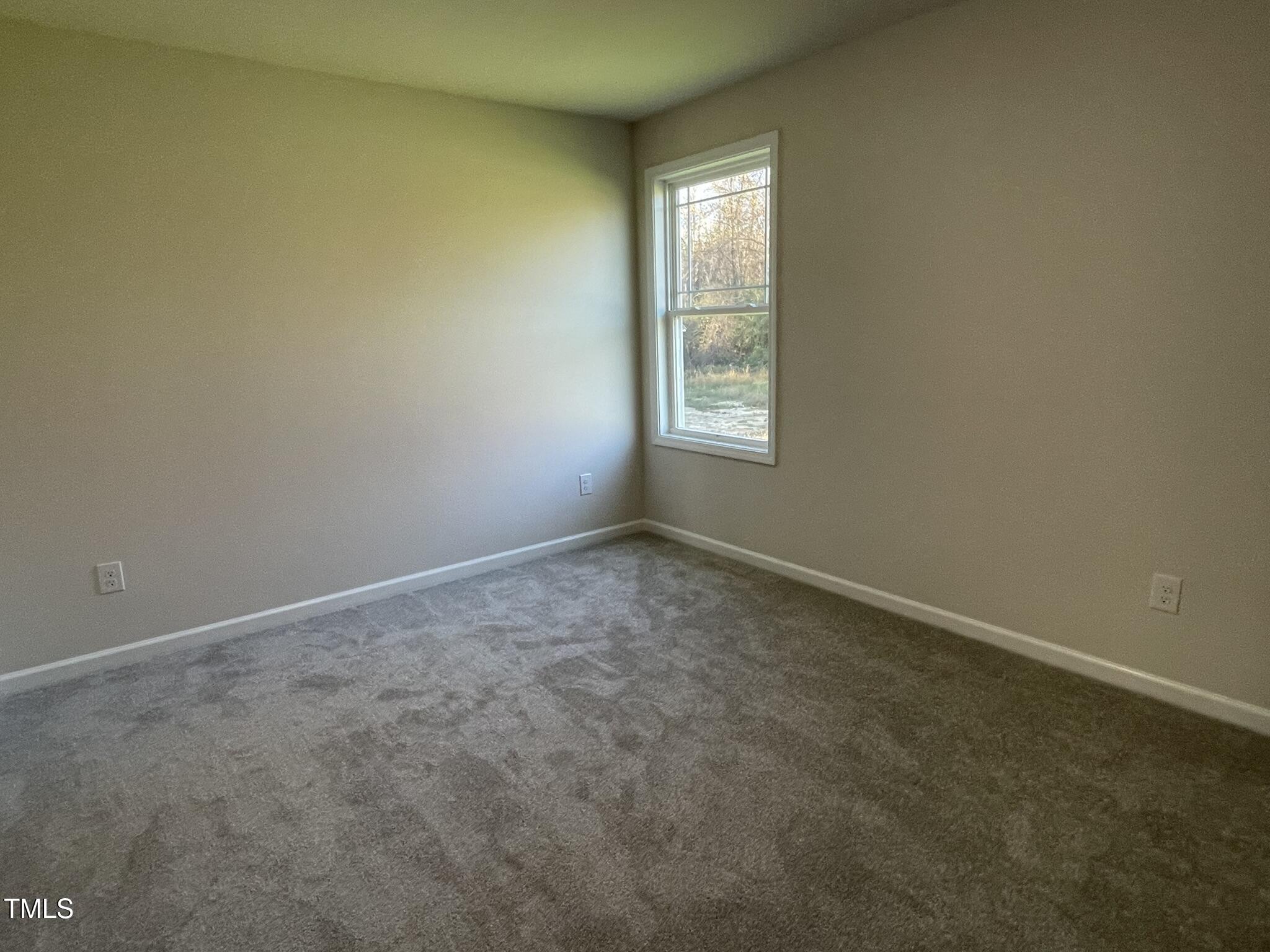 396 Magnolia Run Way Property Photo 15