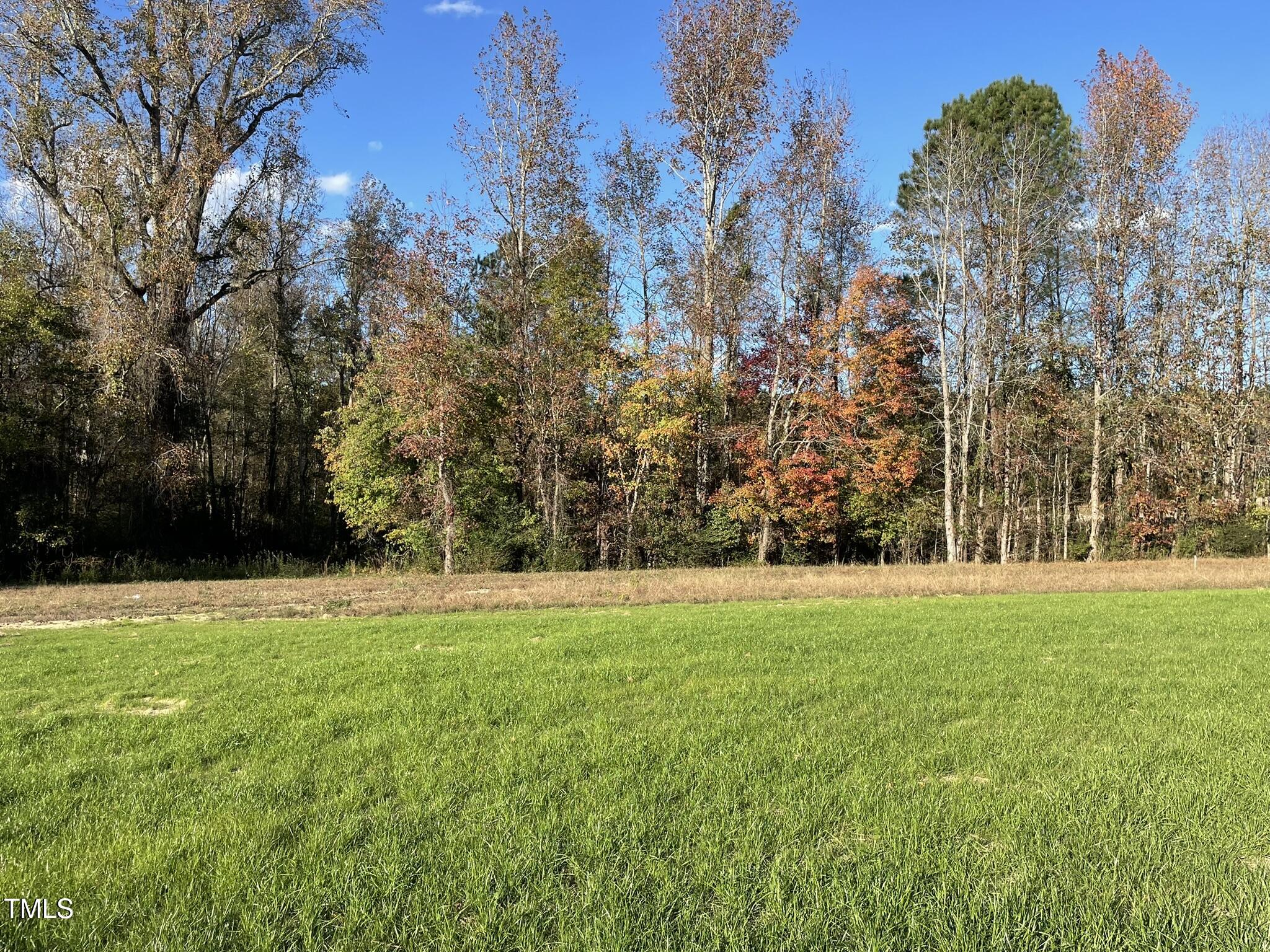 396 Magnolia Run Way Property Photo 17