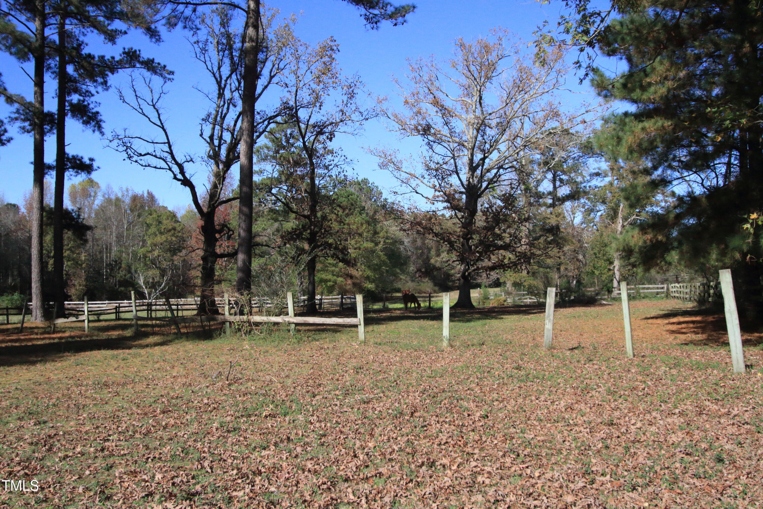 0 Cedar Lane Road Property Photo 5
