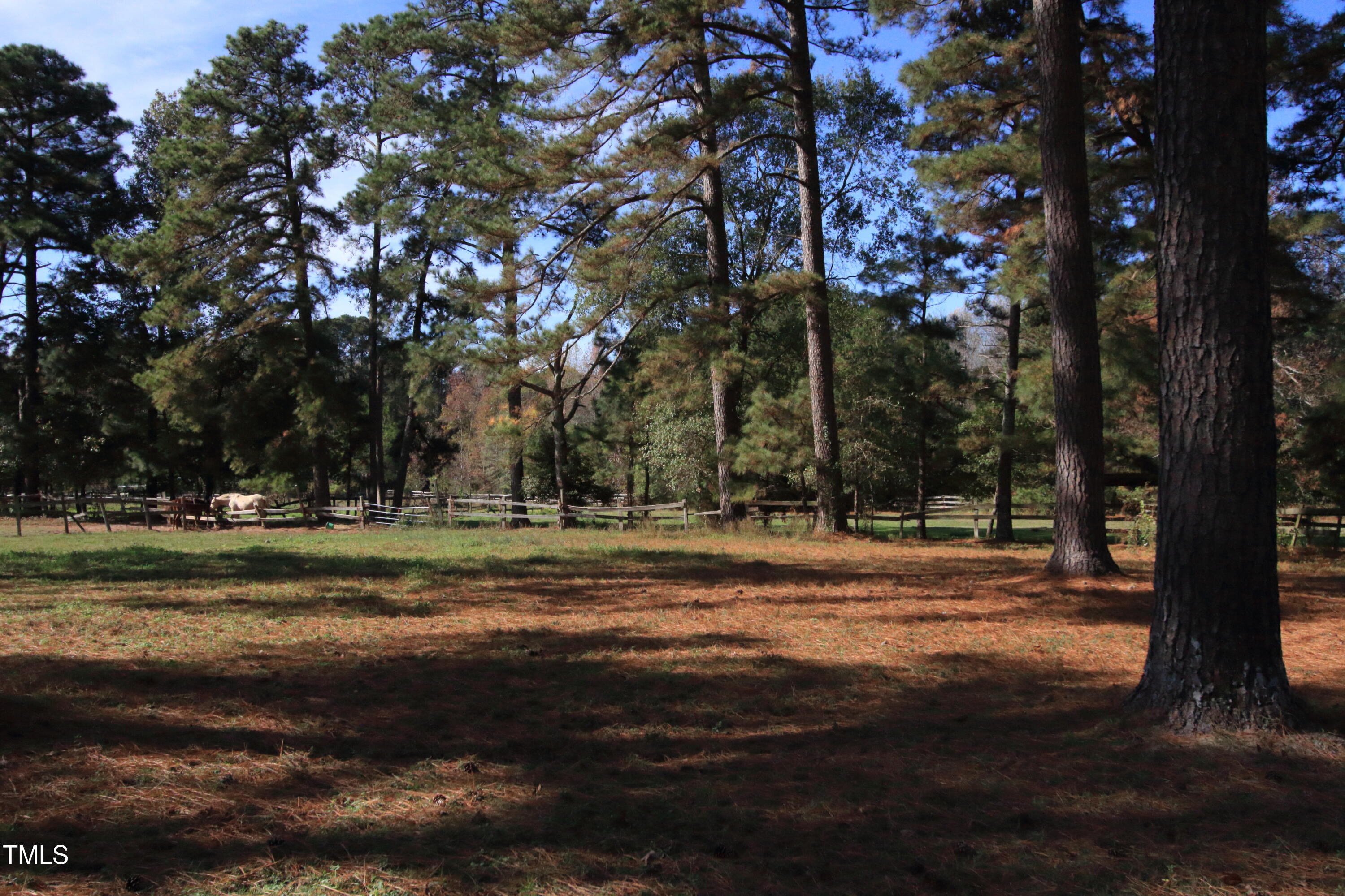 0 Cedar Lane Road Property Photo 6