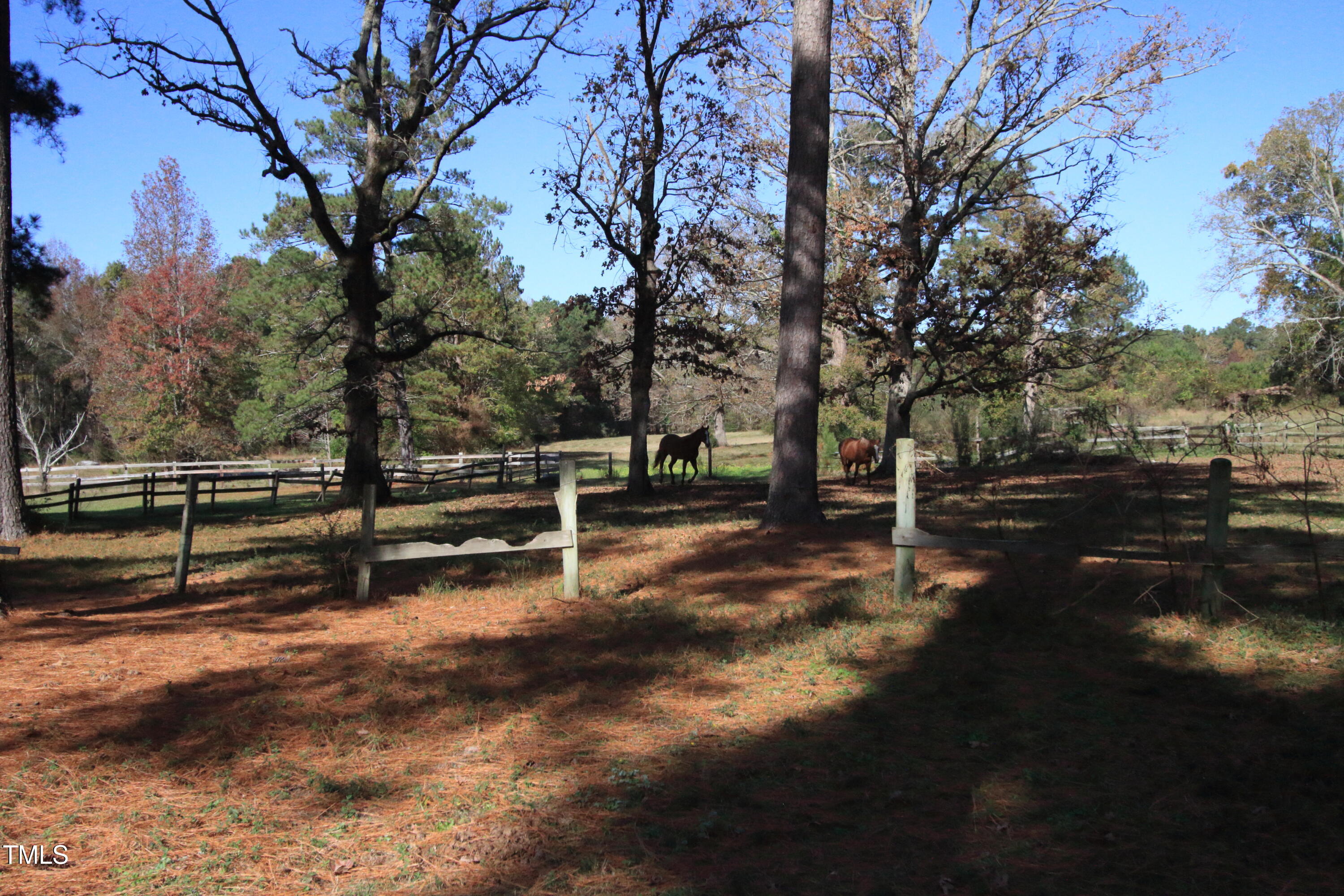 0 Cedar Lane Road Property Photo 7