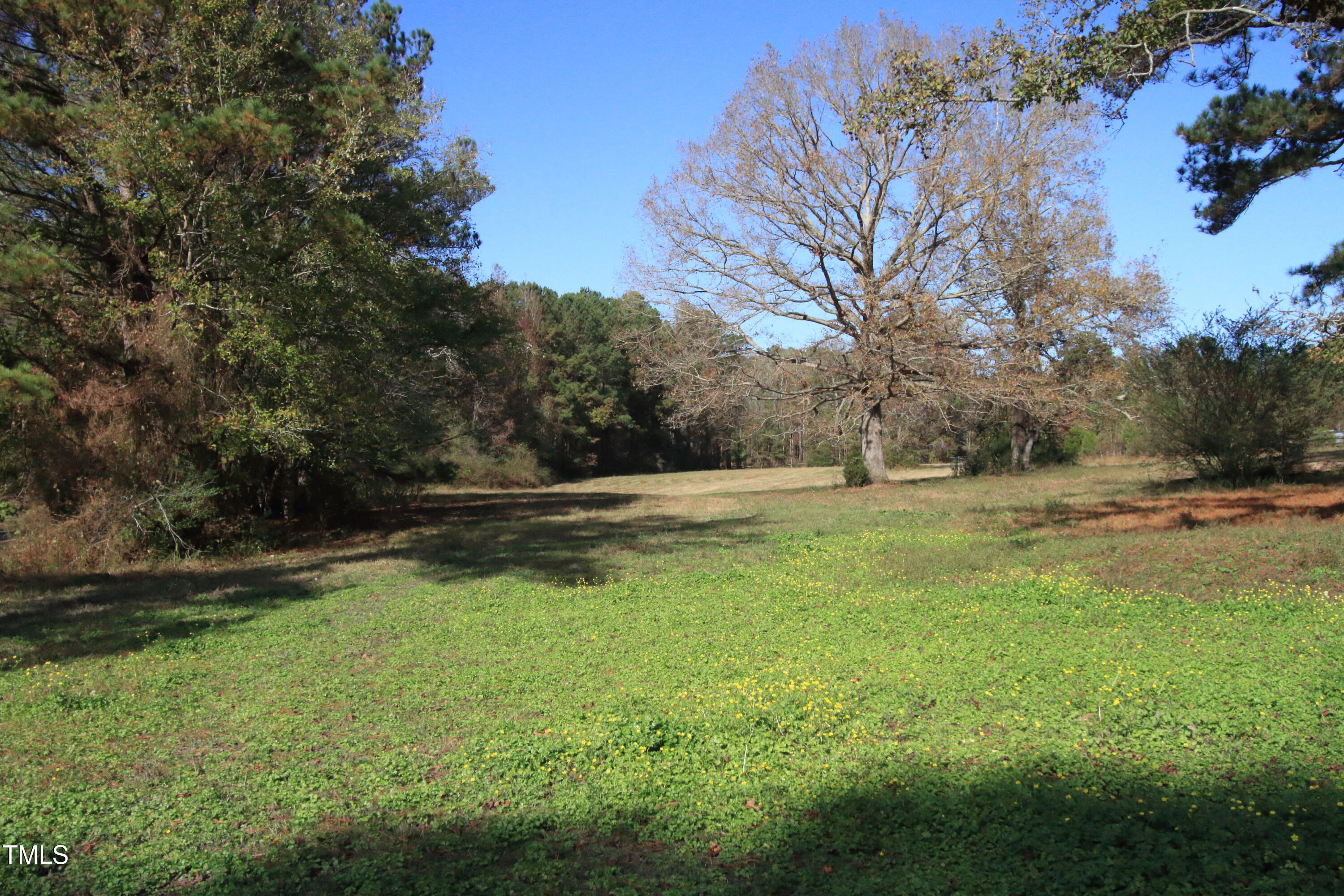 0 Cedar Lane Road Property Photo 9
