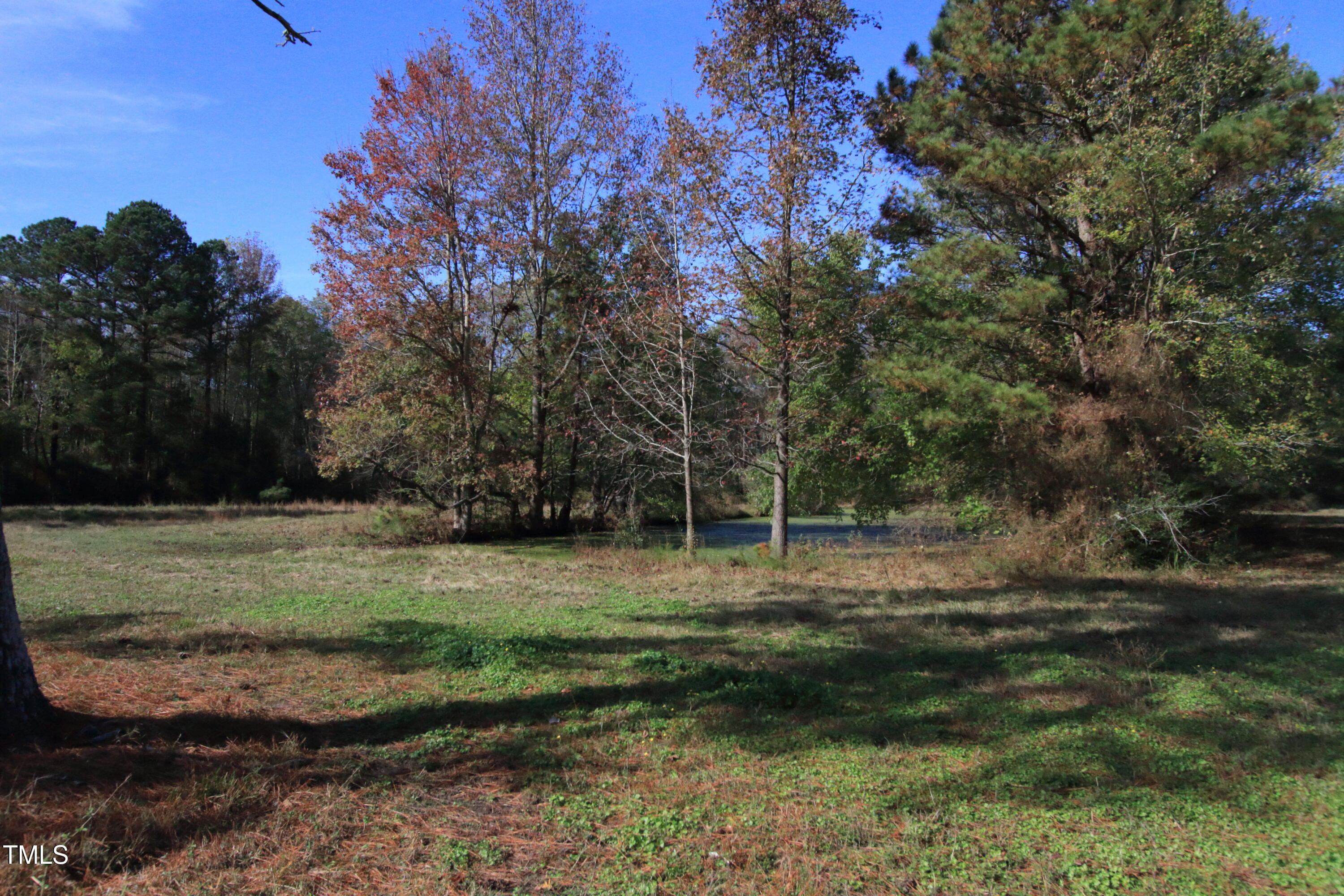 0 Cedar Lane Road Property Photo 10