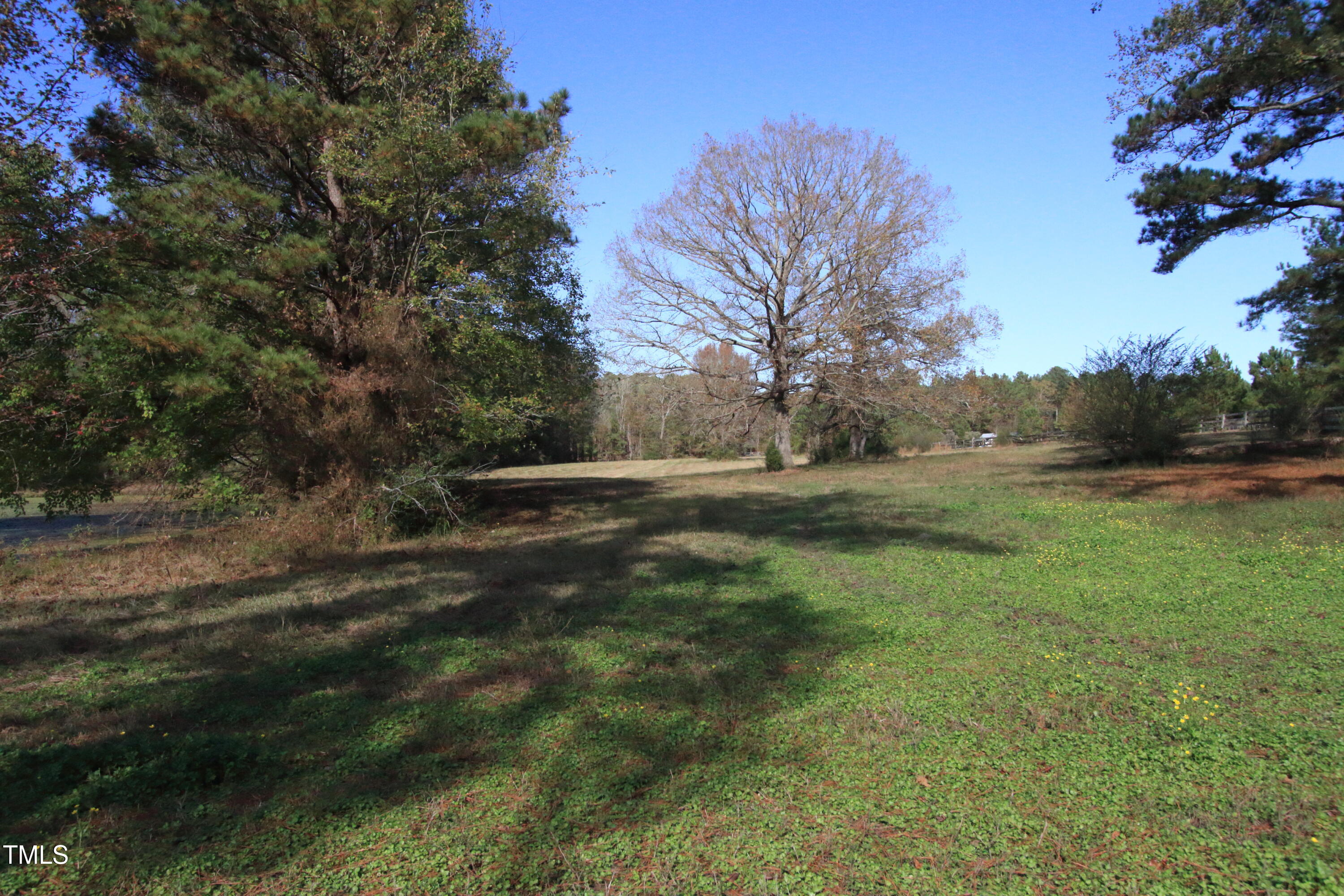 0 Cedar Lane Road Property Photo 11