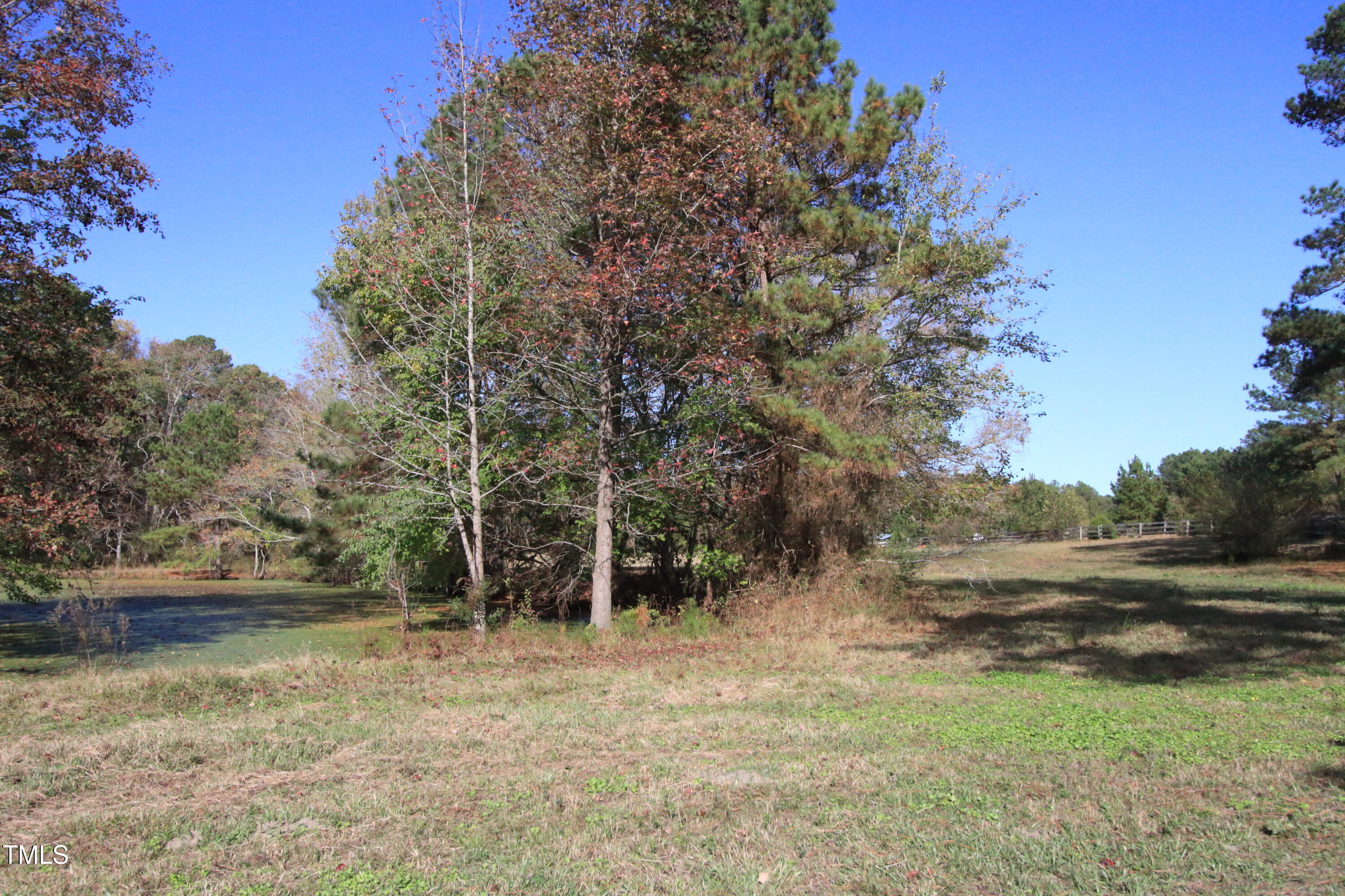0 Cedar Lane Road Property Photo 12