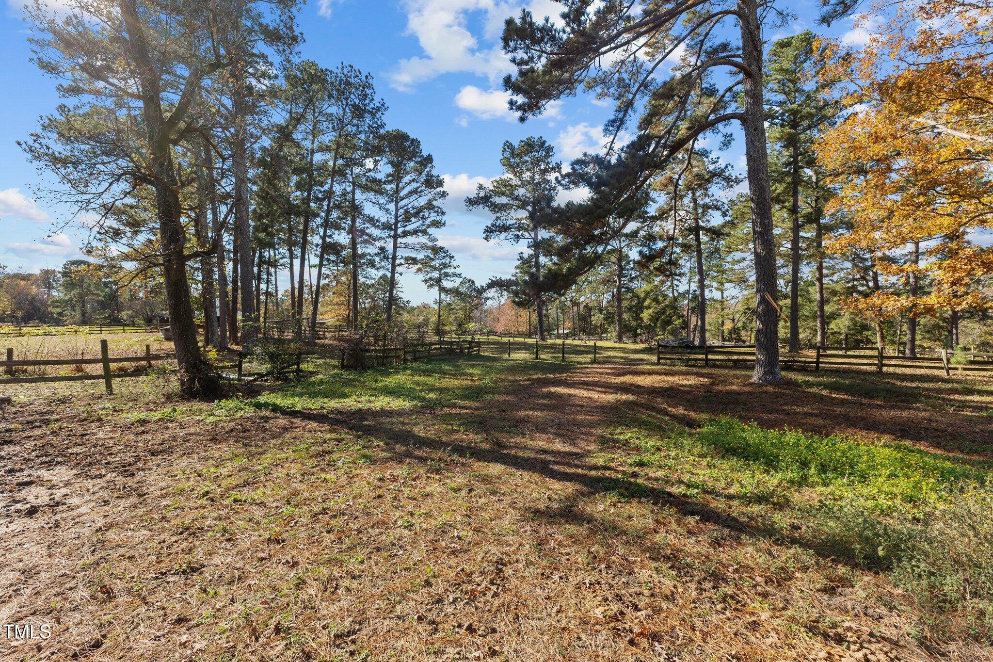 0 Cedar Lane Road Property Photo 15