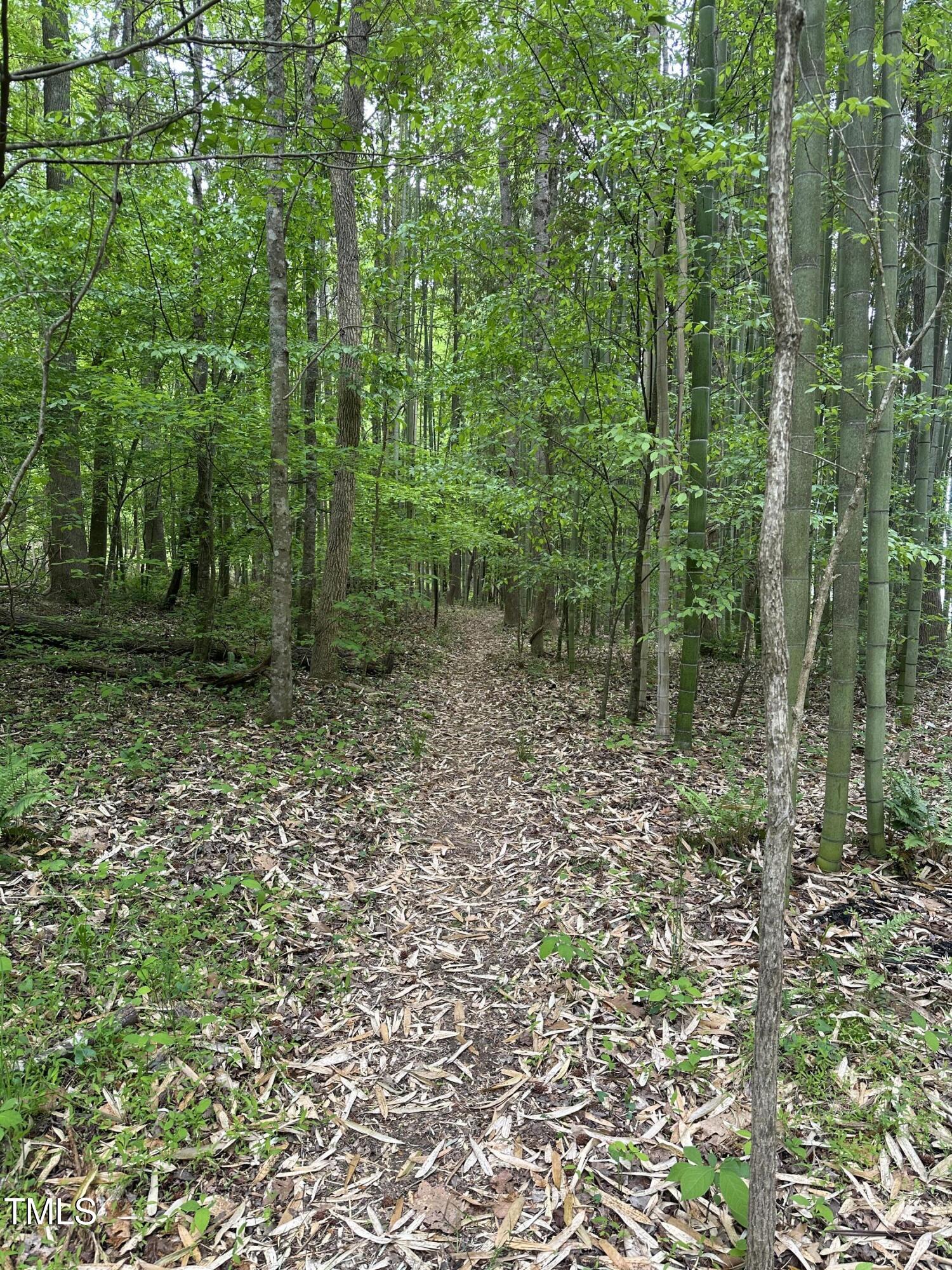 0 Arrowhead Trail Property Photo 7
