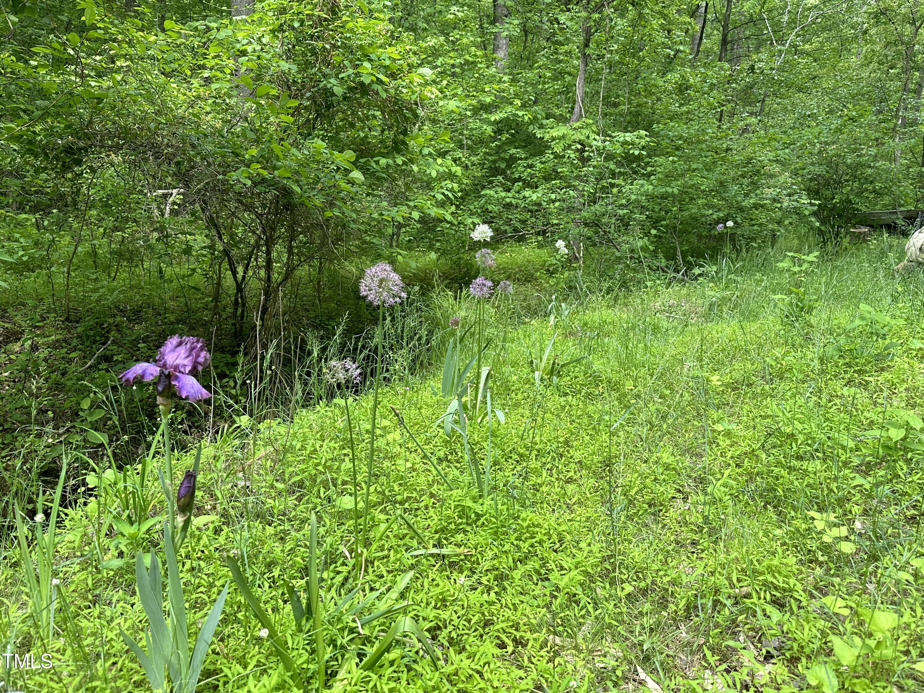 0 Arrowhead Trail Property Photo 11