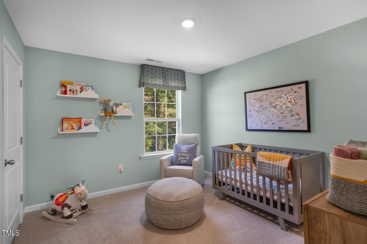 1205 Perseus Hill Court Property Photo 44