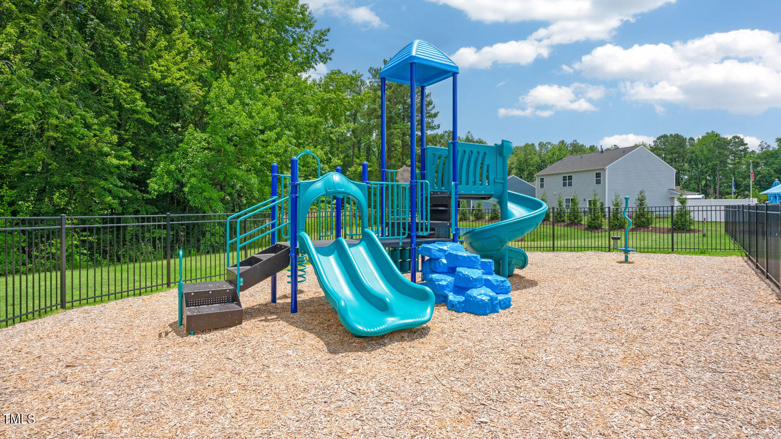 1205 Perseus Hill Court Property Photo 57