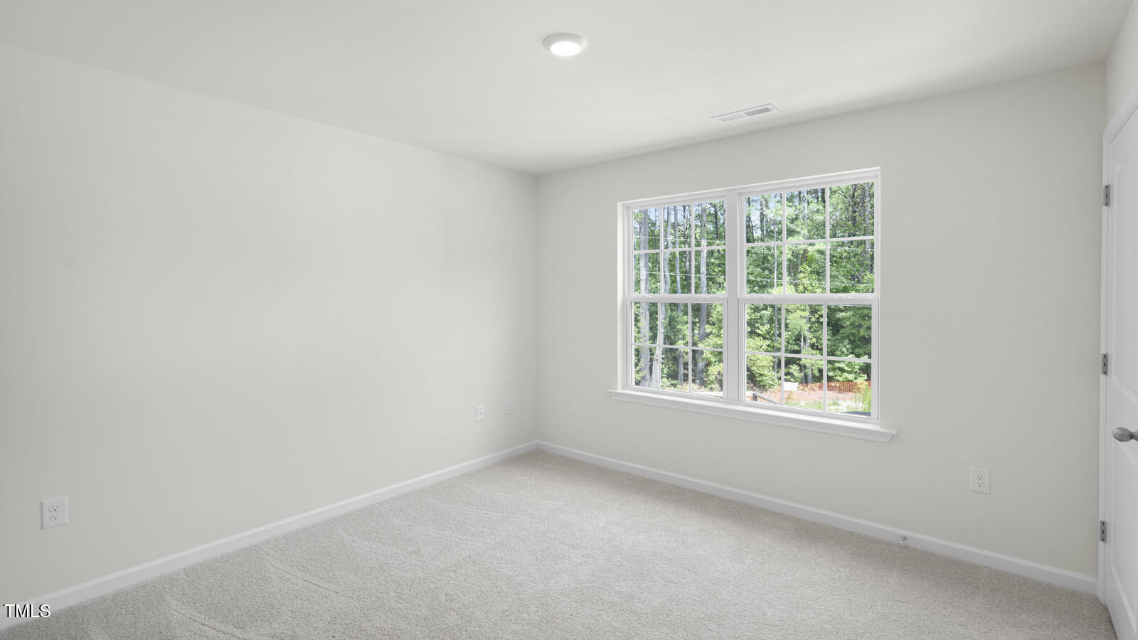 8654 Brixton Shay Drive Property Photo 38