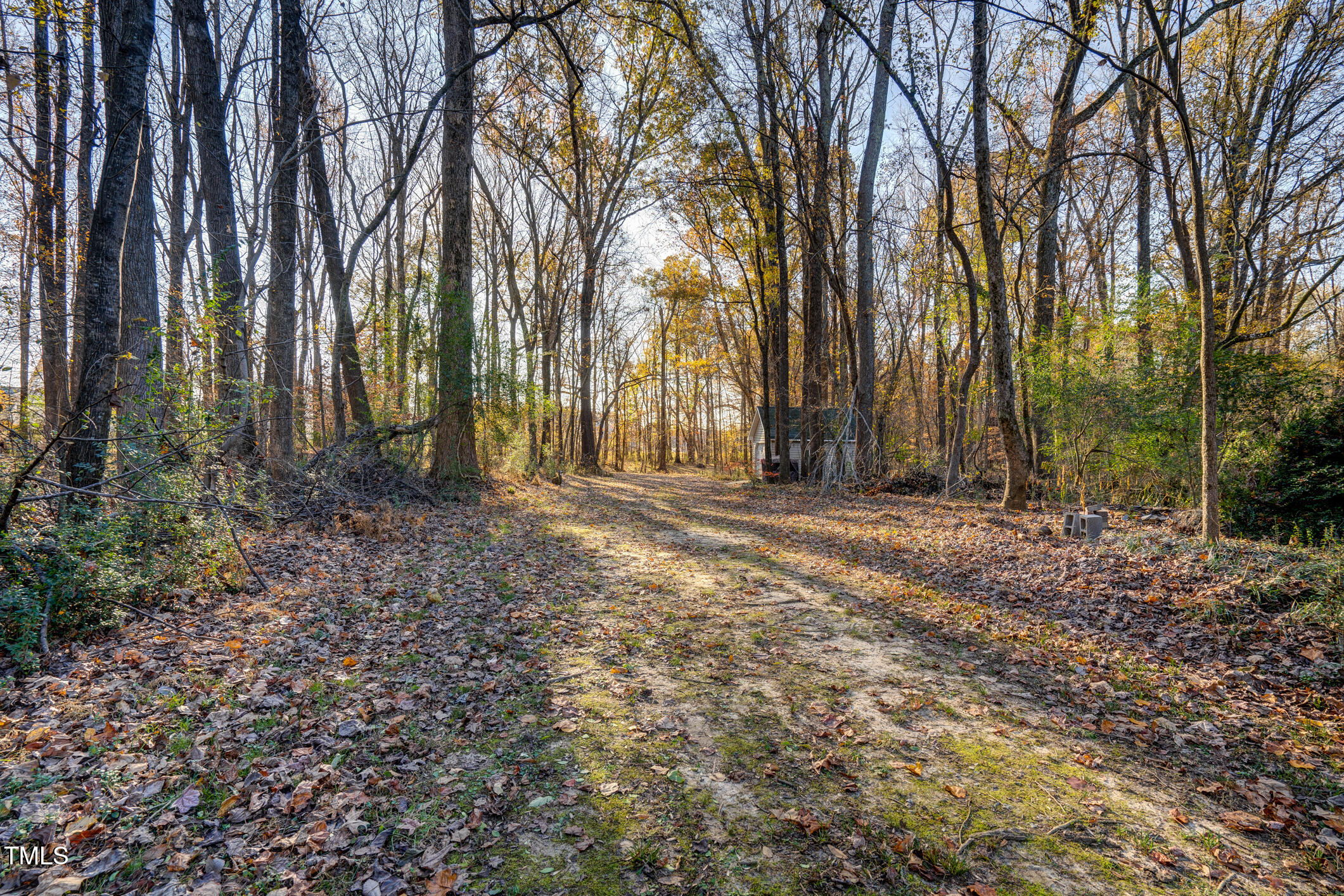 4027 Green Forest Court Property Photo 55
