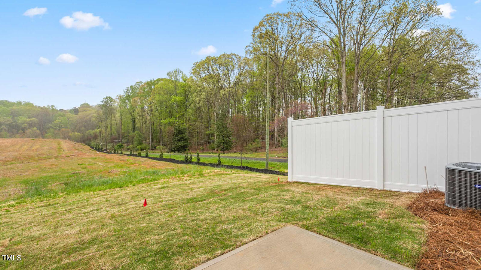 1813 Hinesley Drive Property Photo 22