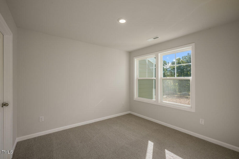 1817 Hinesley Drive Property Photo 24
